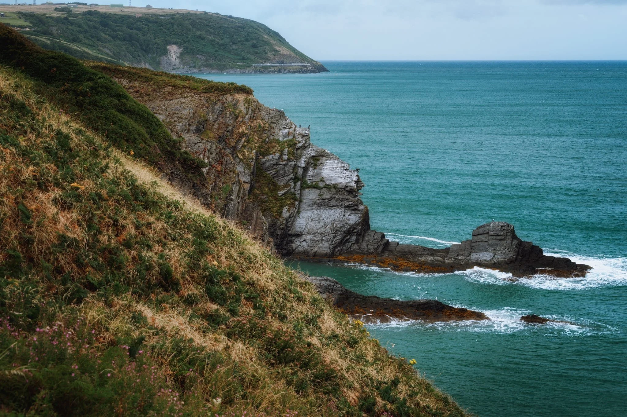  Back on the clifftops, we spotted some cormorants(?)/shags(?) perched on one of the protruding cliffs, airing their wings. I zoomed in tight for this photo, which also includes the Aberport MOD site in the distance.  