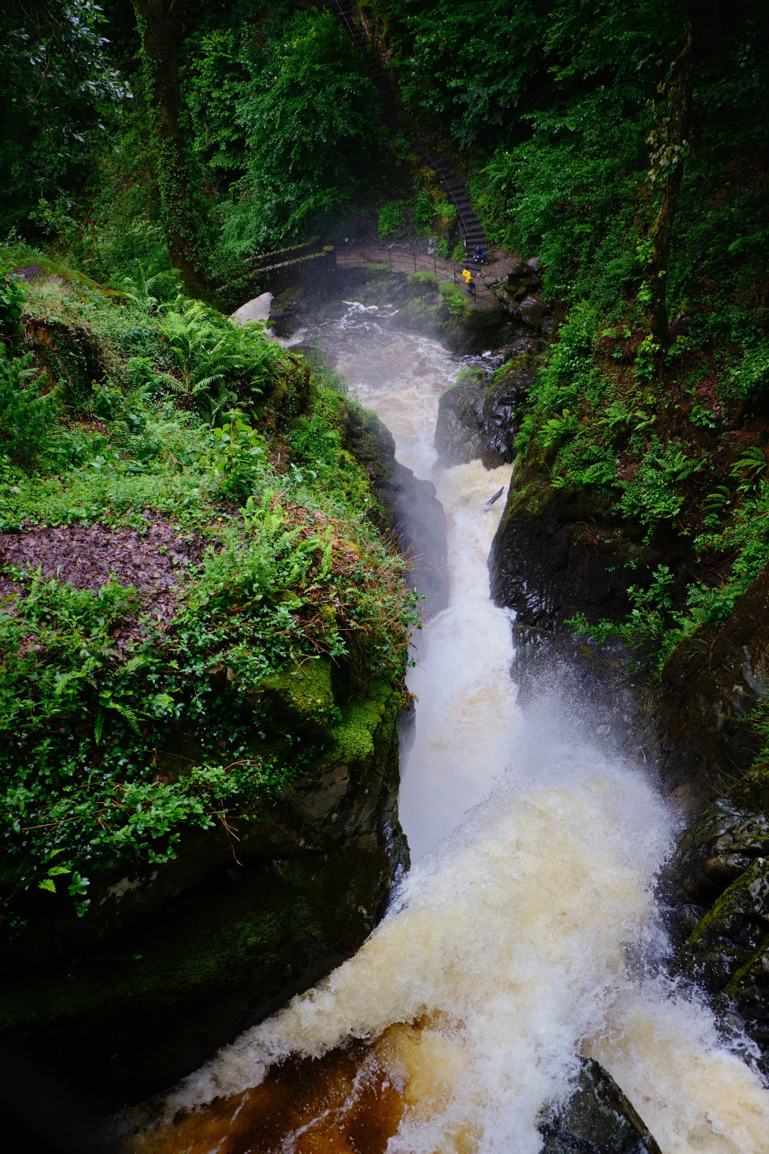 Looking straight down the sheer drop of Aira Force.