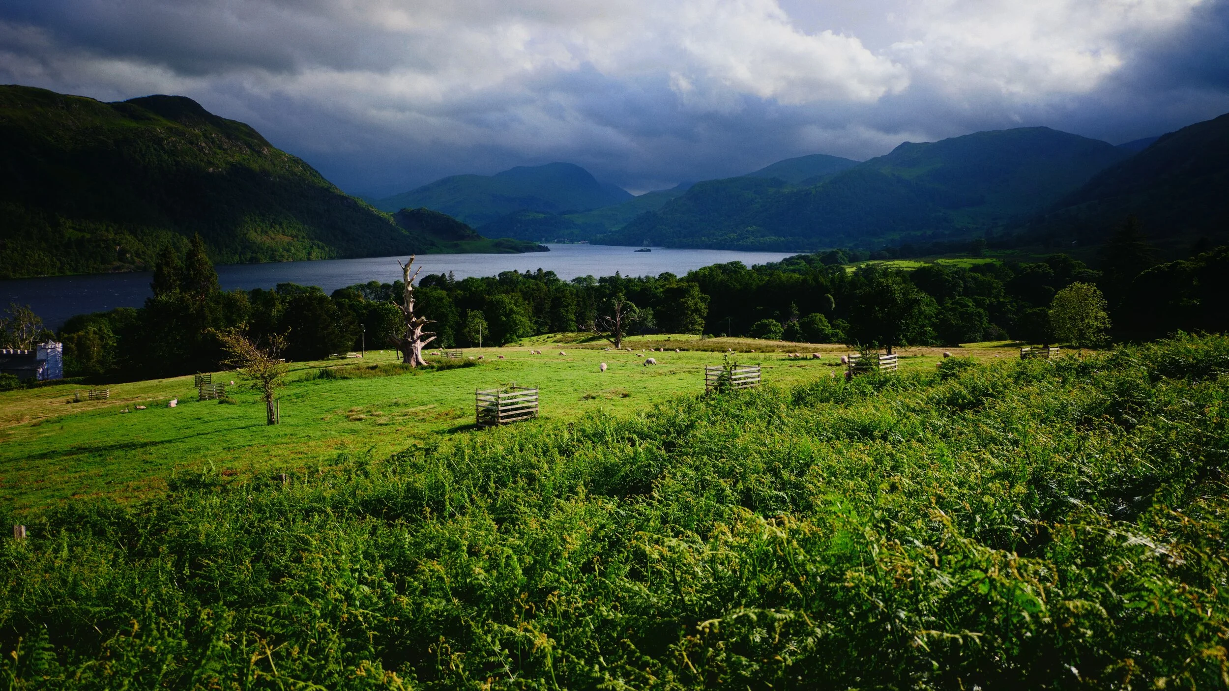 We popped out of the Aira Force gorge a little early to go for a quick wander up Gowbarrow Fell. There were some views of Ullswater and its fells that I wanted to show Lisabet. And boy what a view we got.