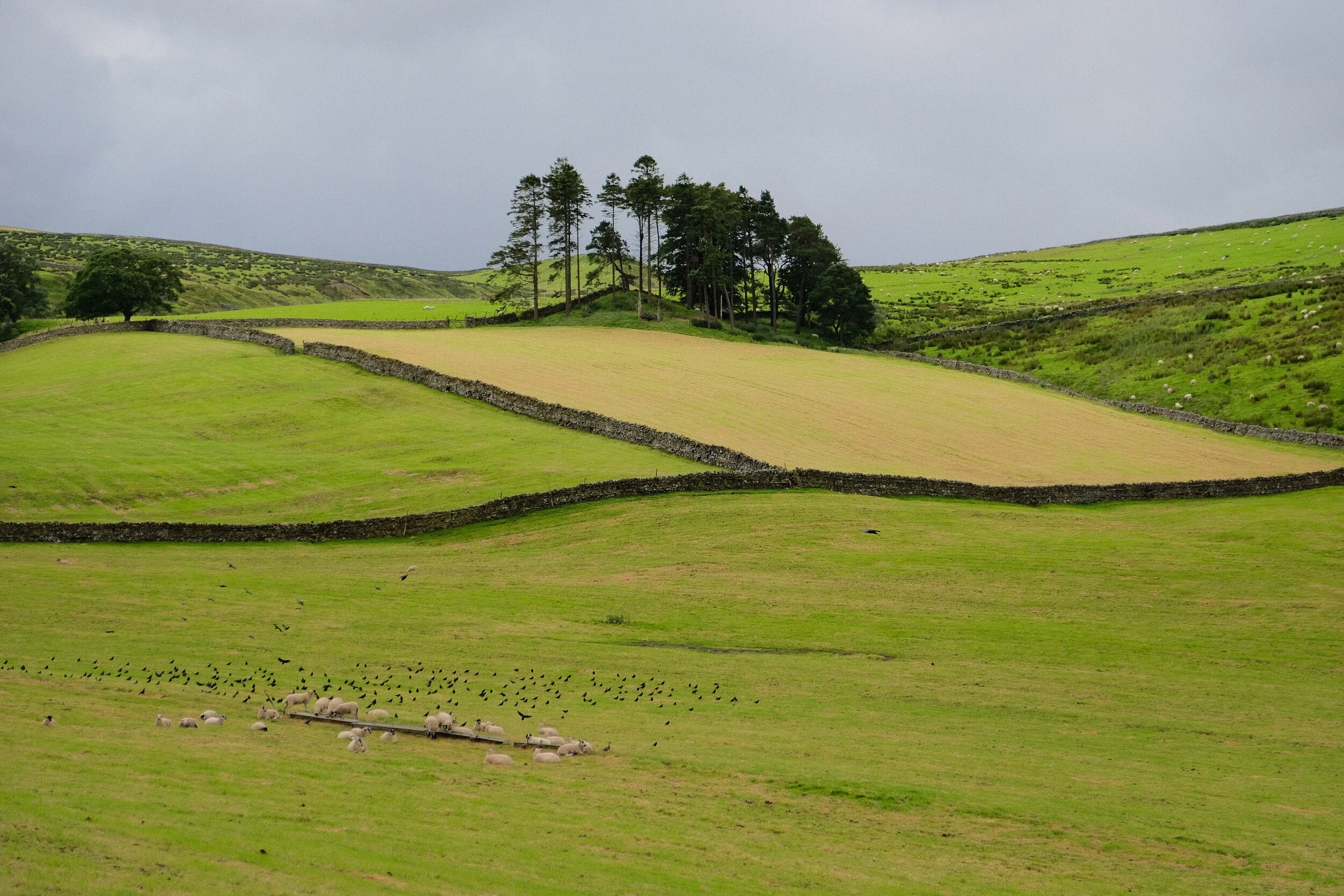  Just outside Garrigill village the views soon started to open up. 