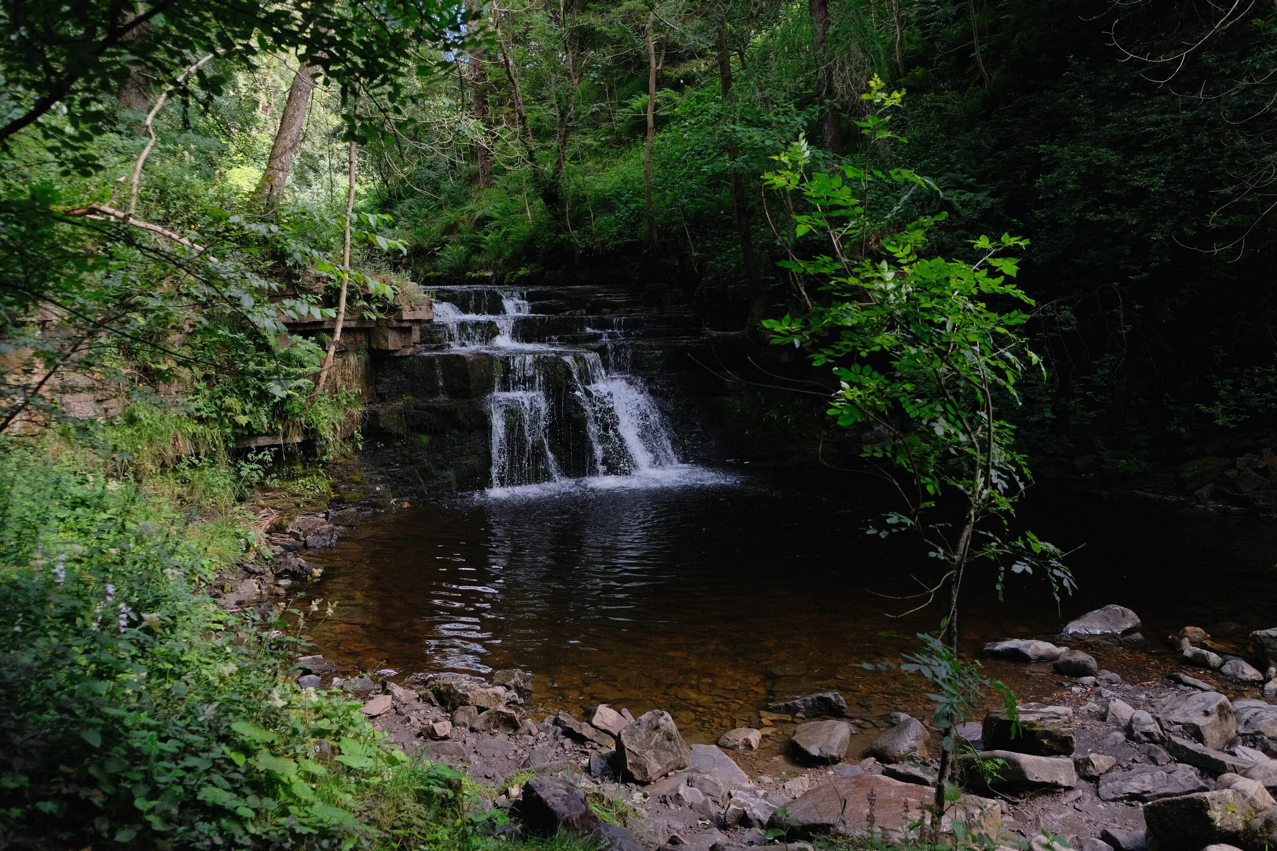  A proper lovely scene. 