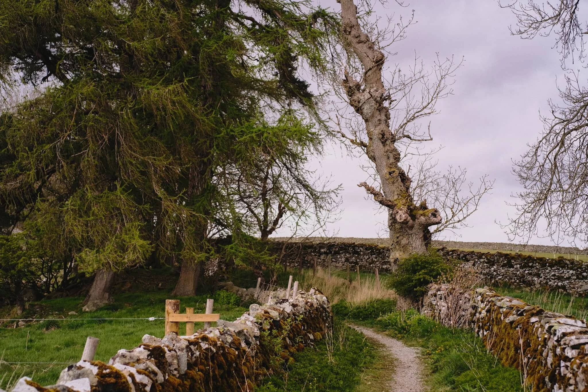 This gorgeous lane takes you up and through the fields towards Helton. Hemmed in with dry stone walls and lined with old trees and plenty of flowering plants.
