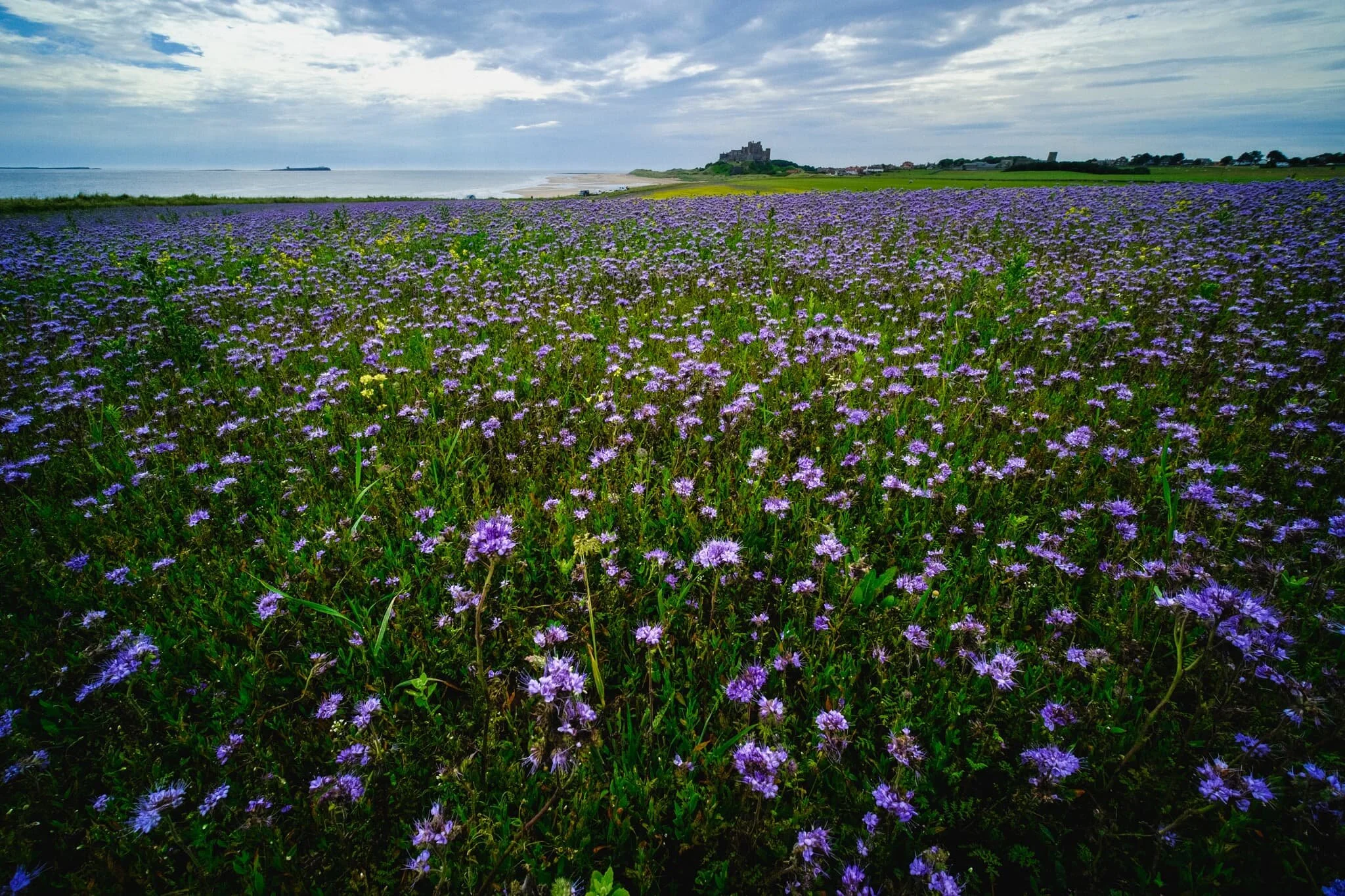 You’ve gotta admit, it’s a pretty stunning scene.
