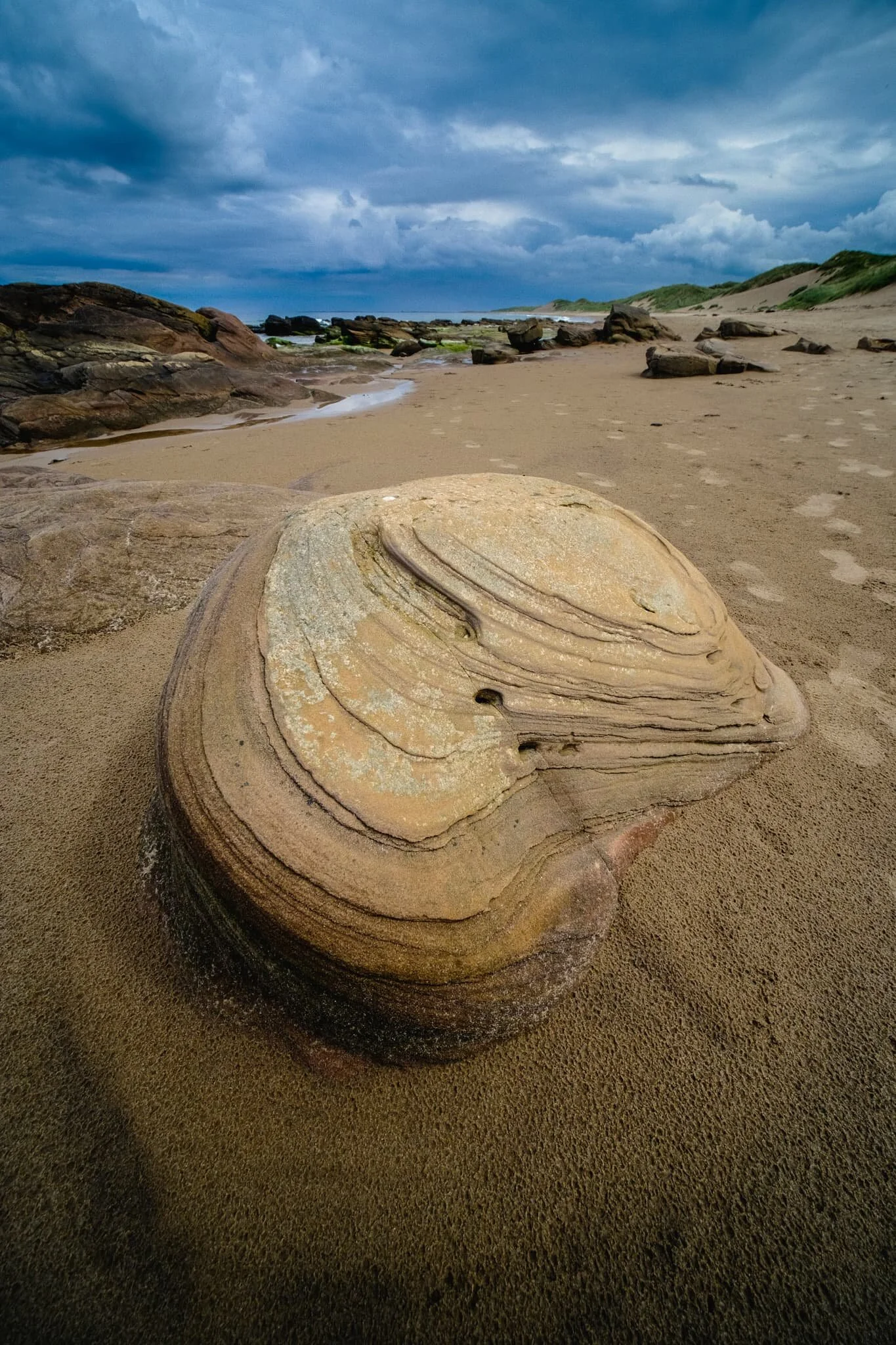 As the sun came out to play a bit more, I found this beautiful boulder that I had to make a composition of before we returned to the car.