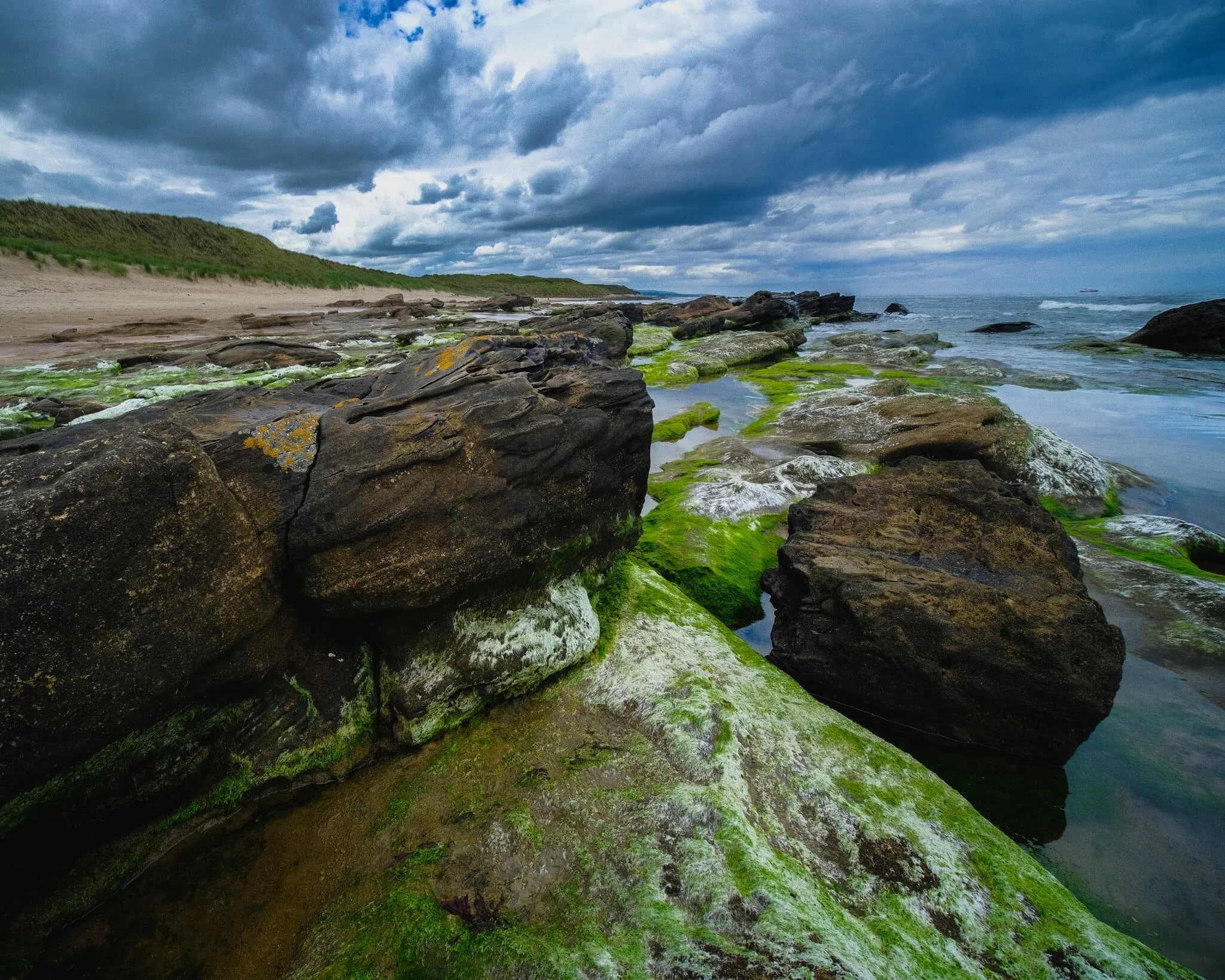 The northernmost parts of Cheswick Black Rocks were still covered in slippery seaweed and moss, which made for great colours.
