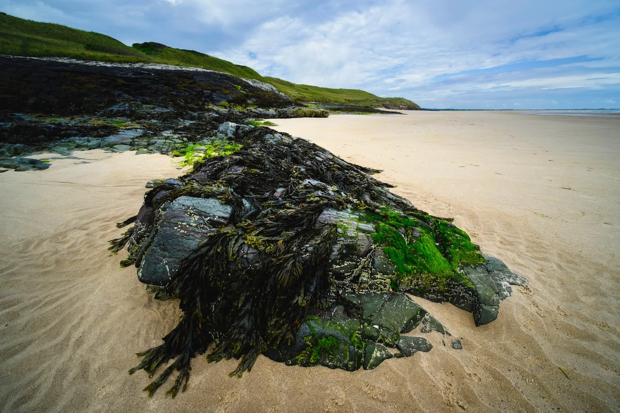 North west of Blackrocks Point and Bamburgh beach, the sands open out into Budle Bay and its vast expanse of golden sand.
