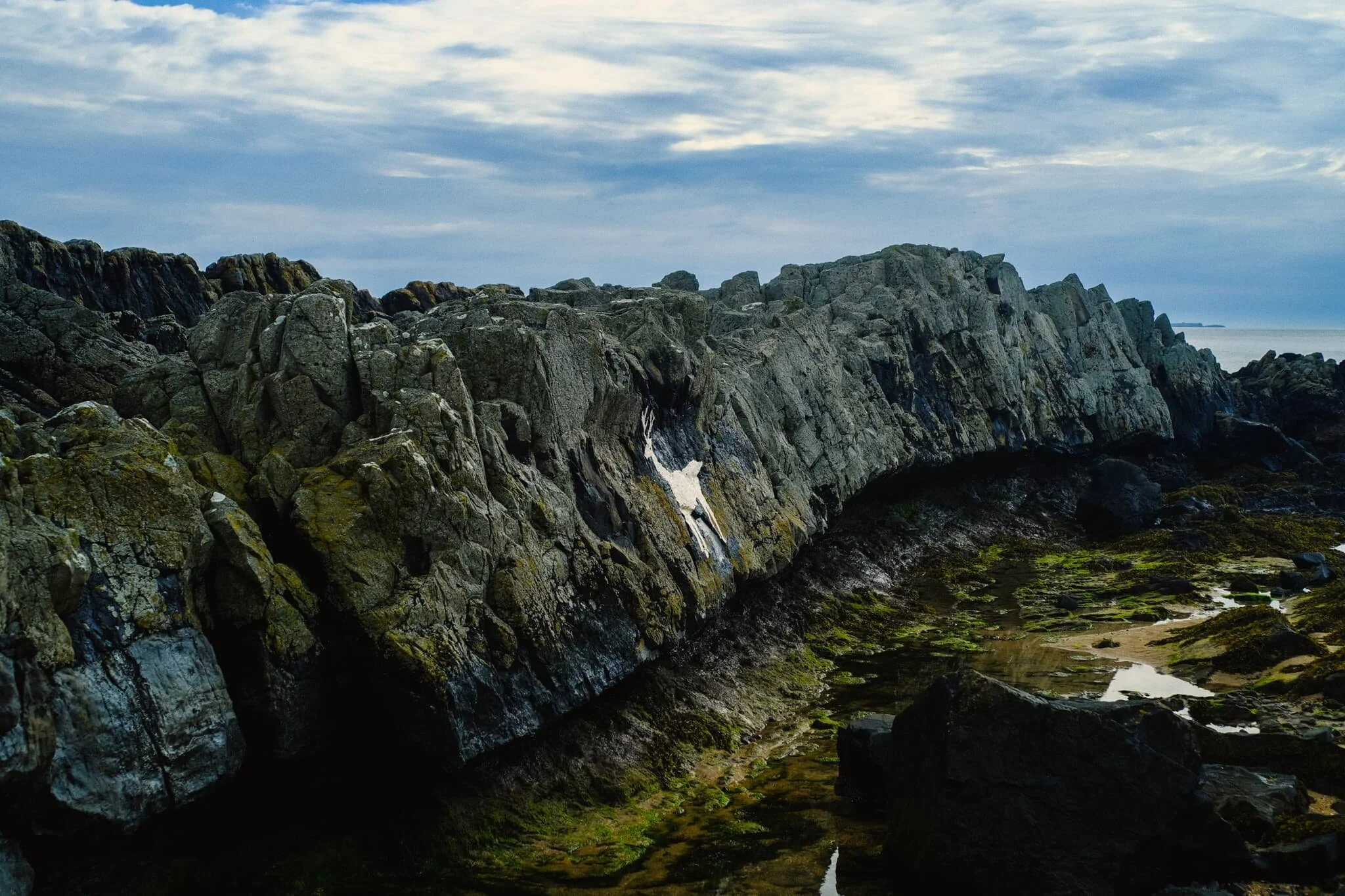 My first aim of the morning at Bamburgh beach was to head to Harkess Rocks, which separates Bamburgh beach from Budle Bay. Here one can find a painted deer. Is it prehistoric? A recent piece of art? No-one’s quite sure. One story says that it was painted because a white stag jumped into the sea to escape hunters. Another story reckons it was painted by Italian prisoners of war during World War 2.