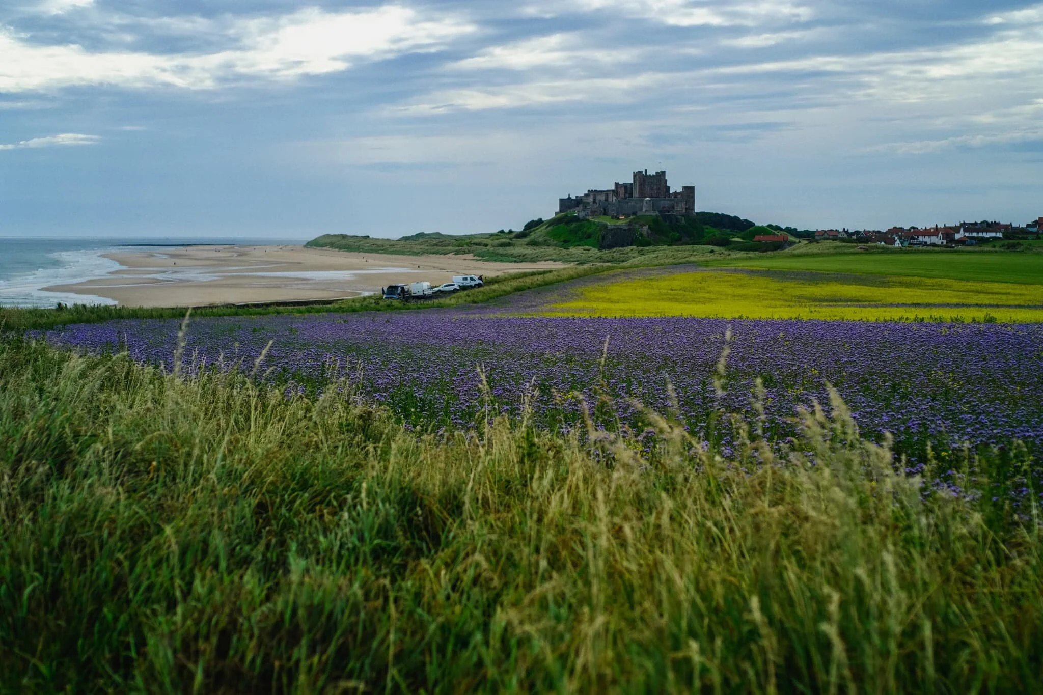 More of the layering of the scene is involved in this composition as the day started to brighten up.