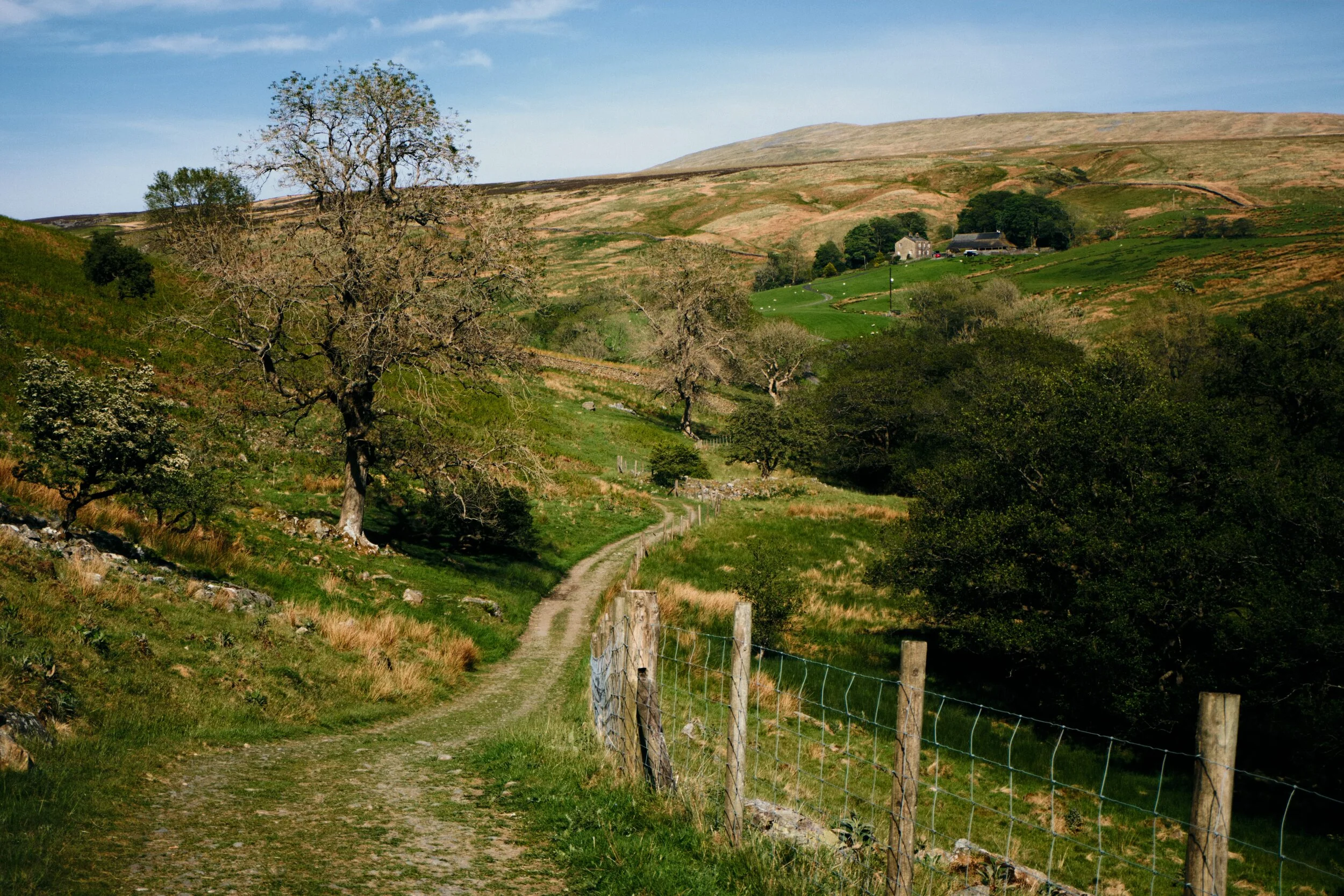 The way to Upper Barbondale, with Crag Hill in the distance (682 m/2,238 ft).