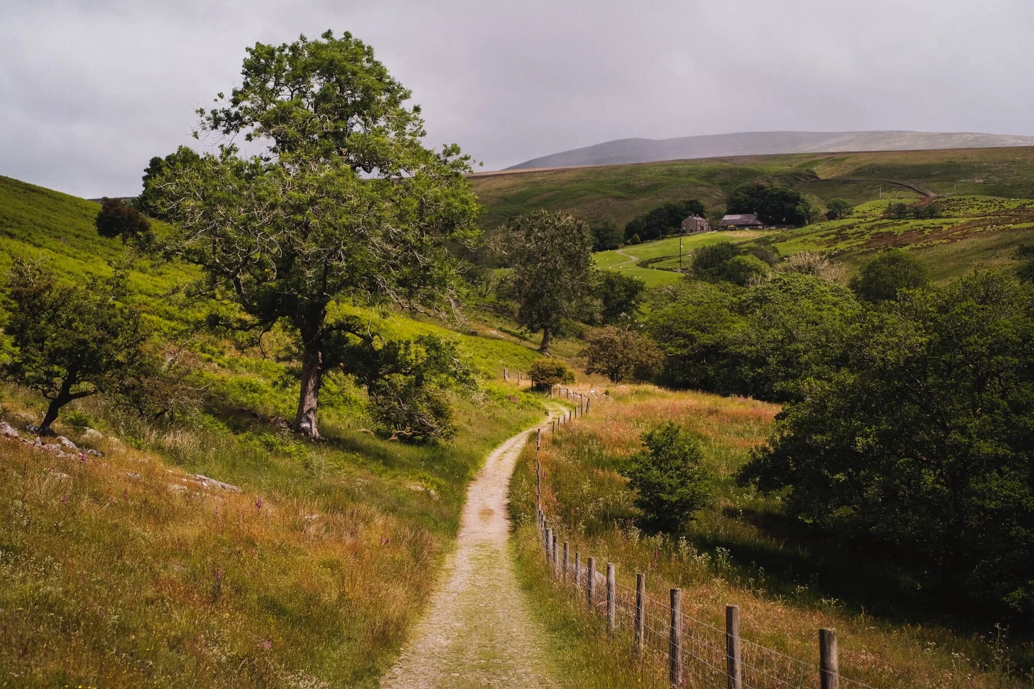 The view that greets you once you pop out of what&rsquo;s left of Barbondale woods. The weather was… interesting. It was warm, but with gusts of alternating cold and hot air, interspersed with gentle sprays of rain from a distant cloud burst. You can see the cloud burst above Crag Hill in the distance. 