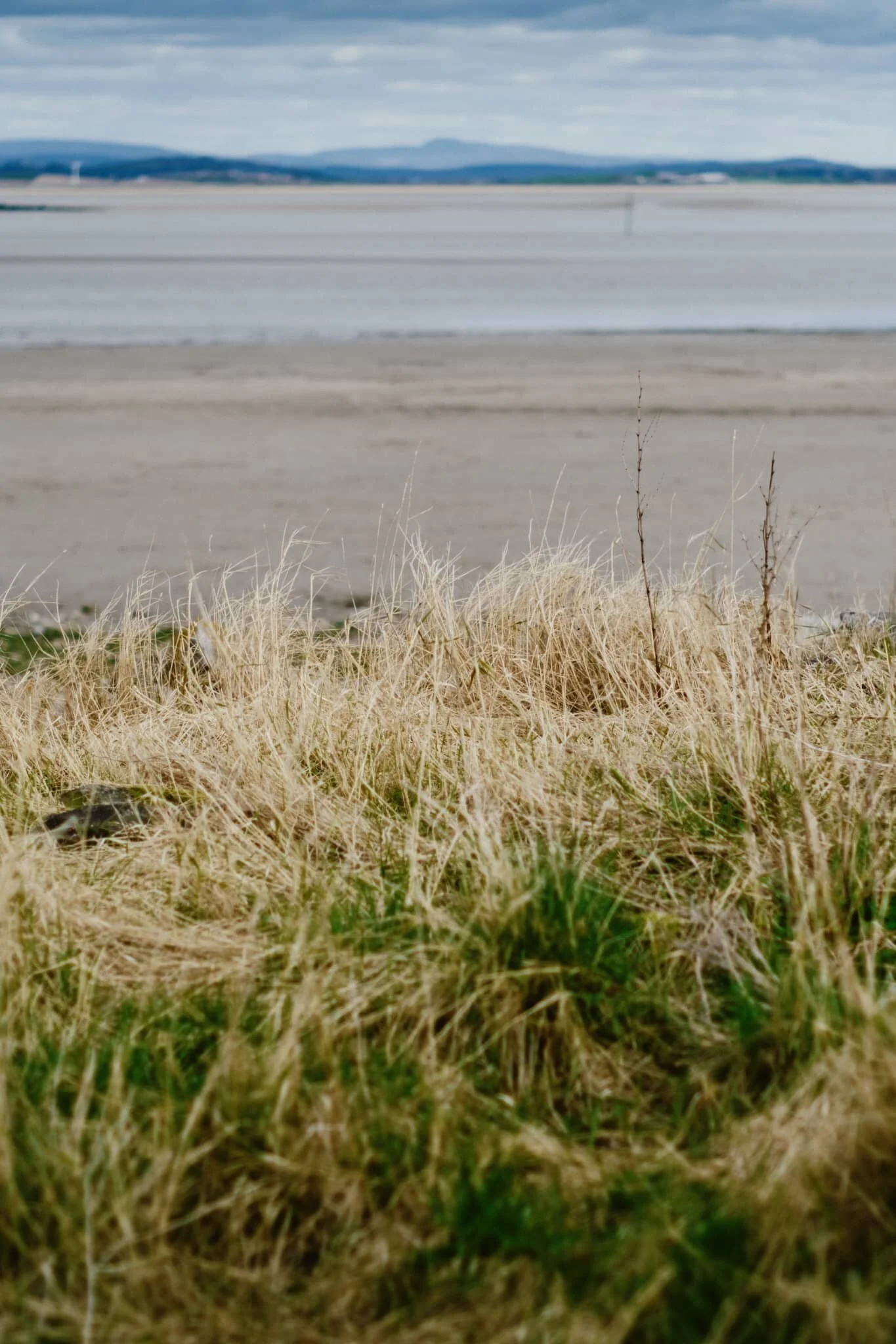 I enjoyed the layering of this composition.