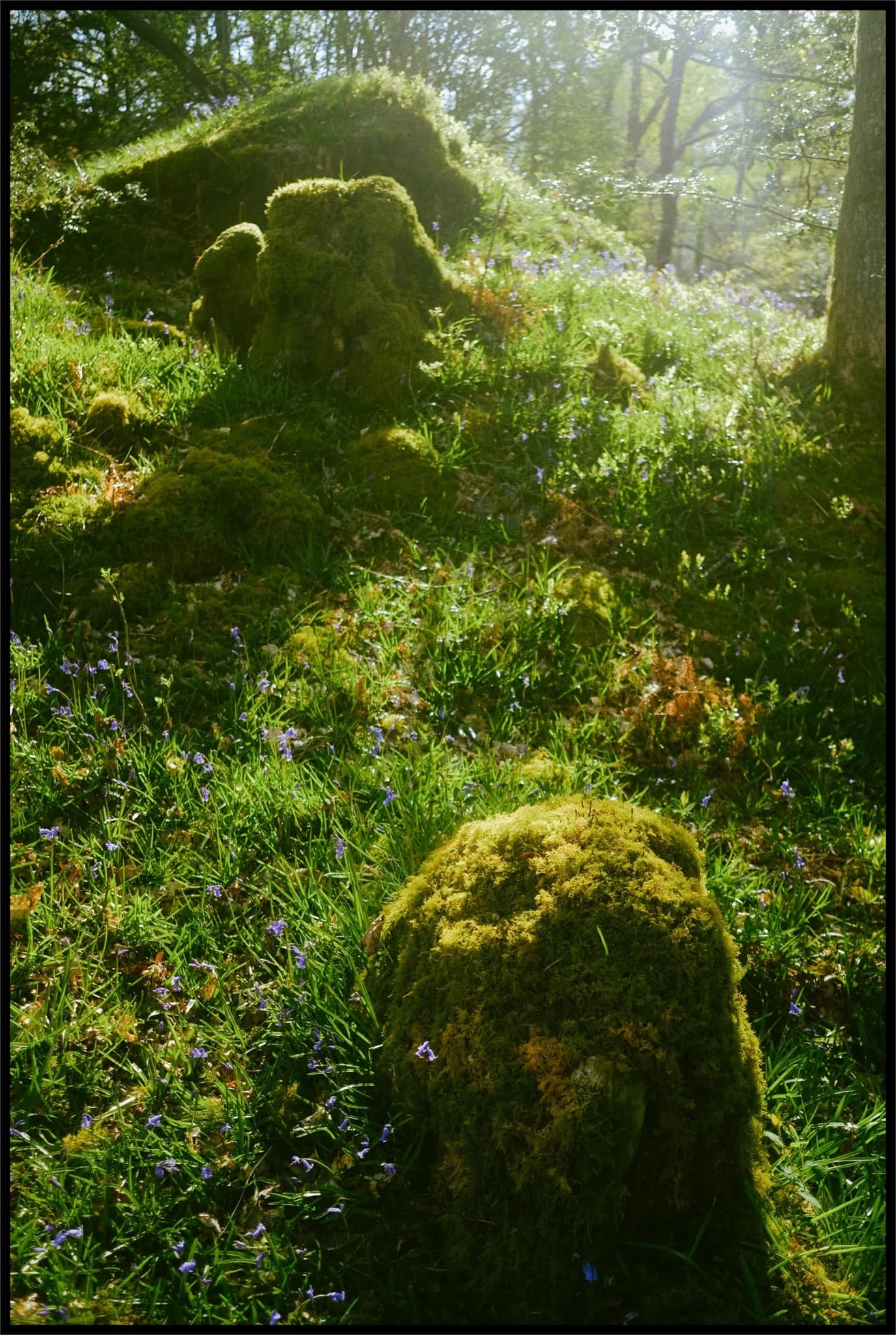  The late afternoon light was absolutely crackin&rsquo;. 