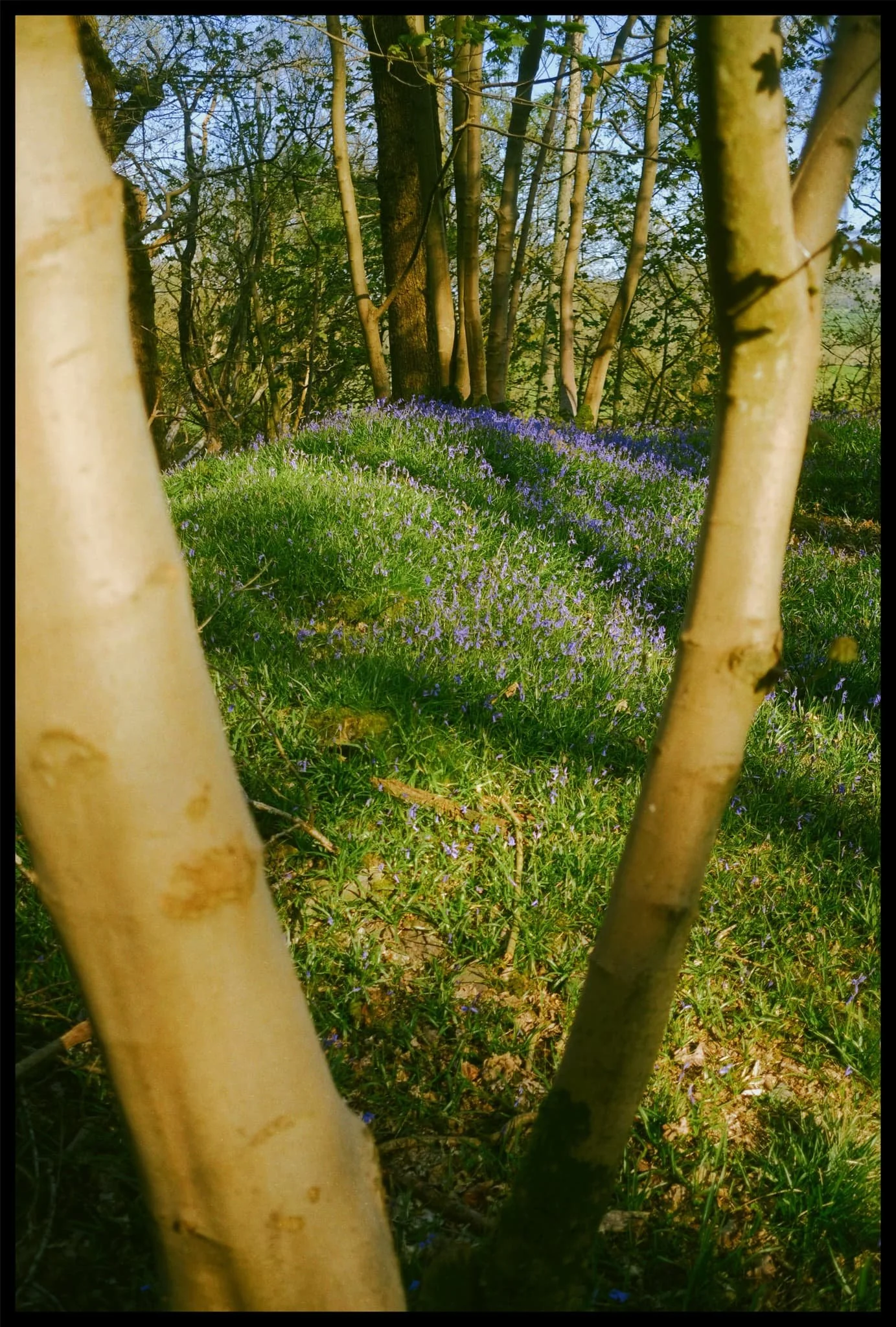  Probably one of my favourite shots from the whole walk. 