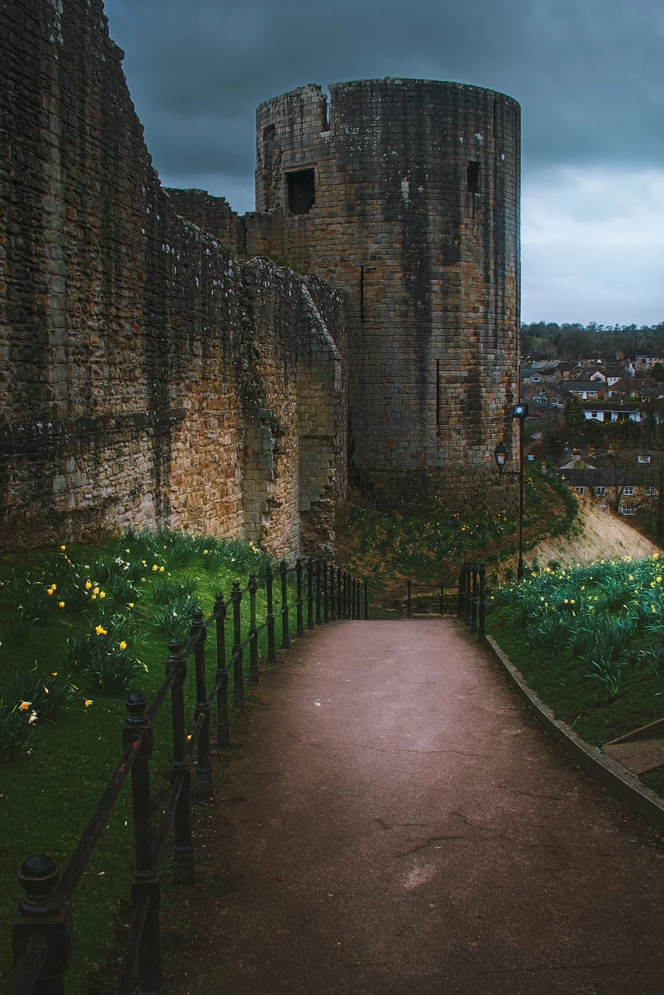  The circular round tower of the Barnard Castle itself, one of the main features of the ruins that still stands. Daffodils lined the path around the ruins on a moody day. 
