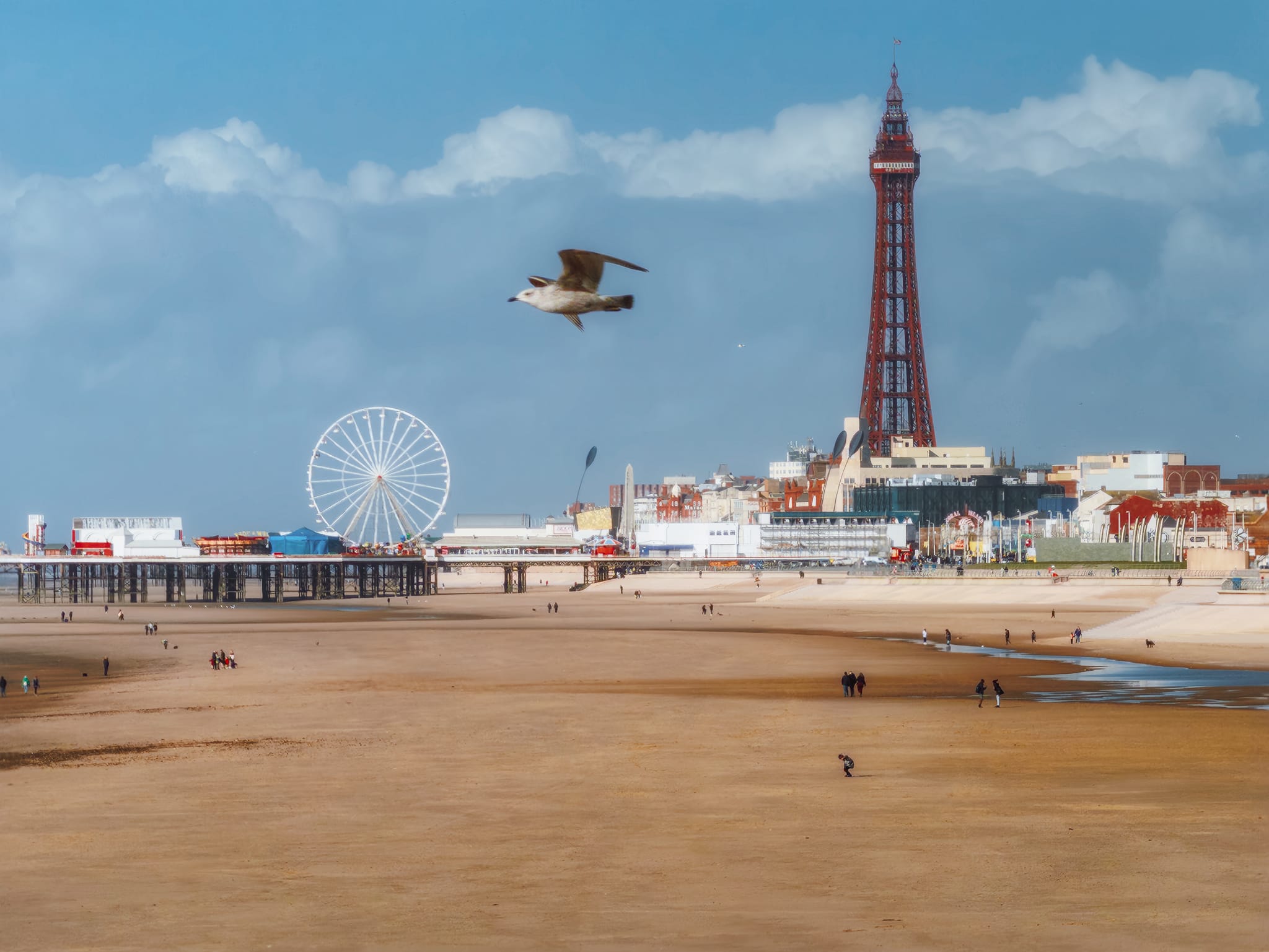 Using the iPhone&rsquo;s 8x zoom for a tighter composition of Blackpool Tower and the Big Wheel, I was fortuitous to also capture a juvenile seagull zooming across the scene!