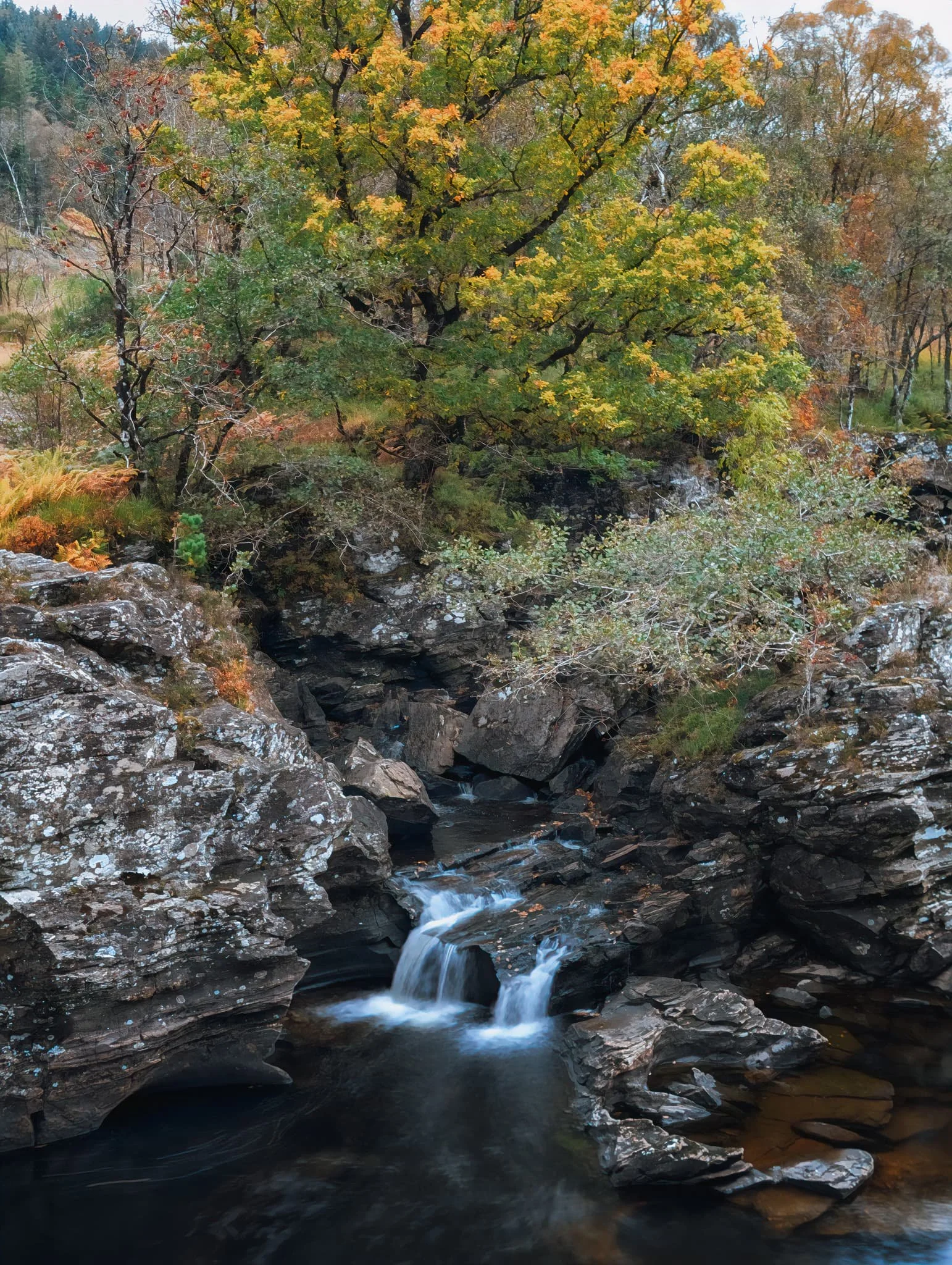  After circling back to the car, we made a quick additional trip into Glen Orchy to checkout the series of falls of  Eas Urchaidh . 
