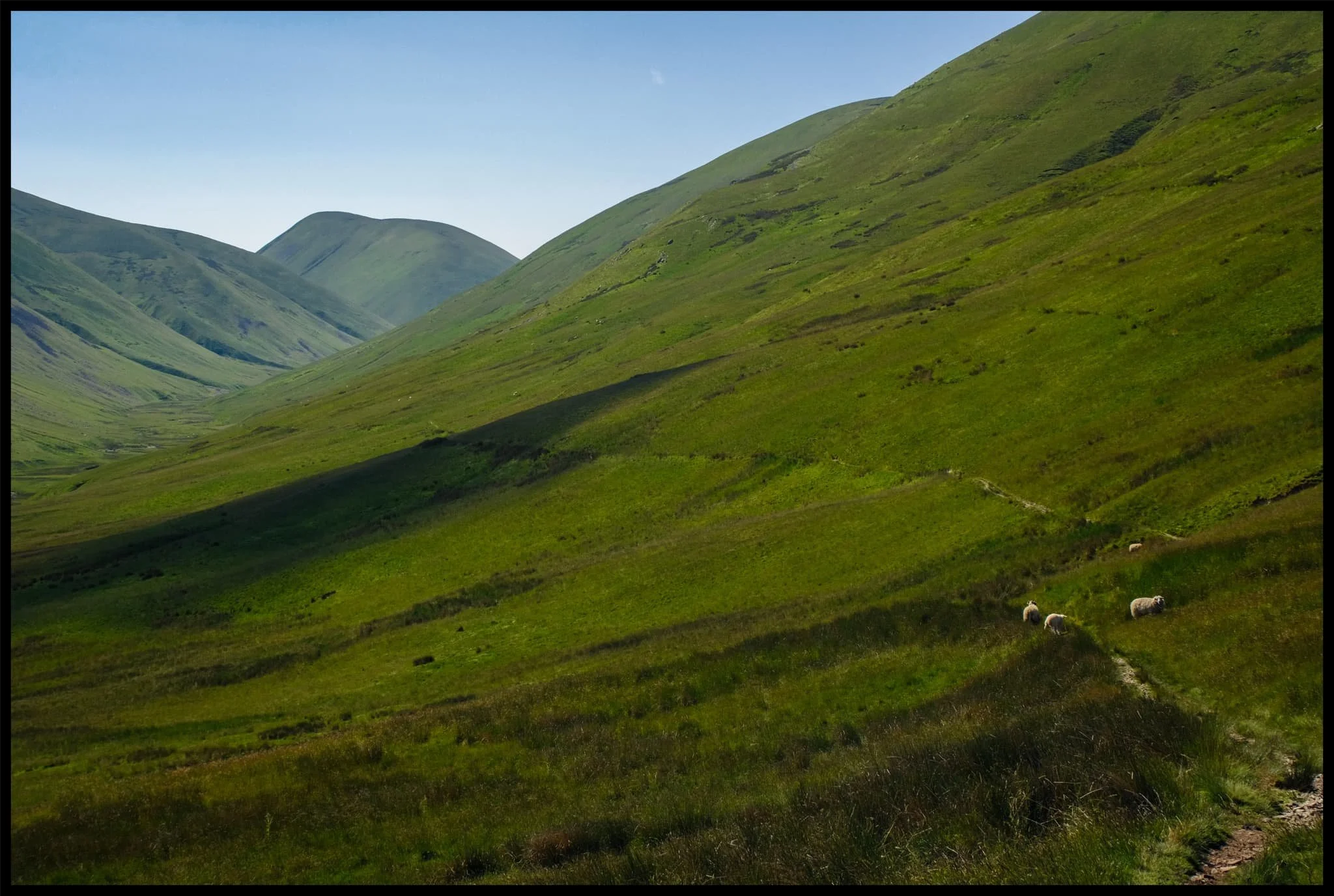  This was as far as I got on the trail towards the valley bottom, before I was mobbed by biting insects. Time to retrace and look for a different route. 