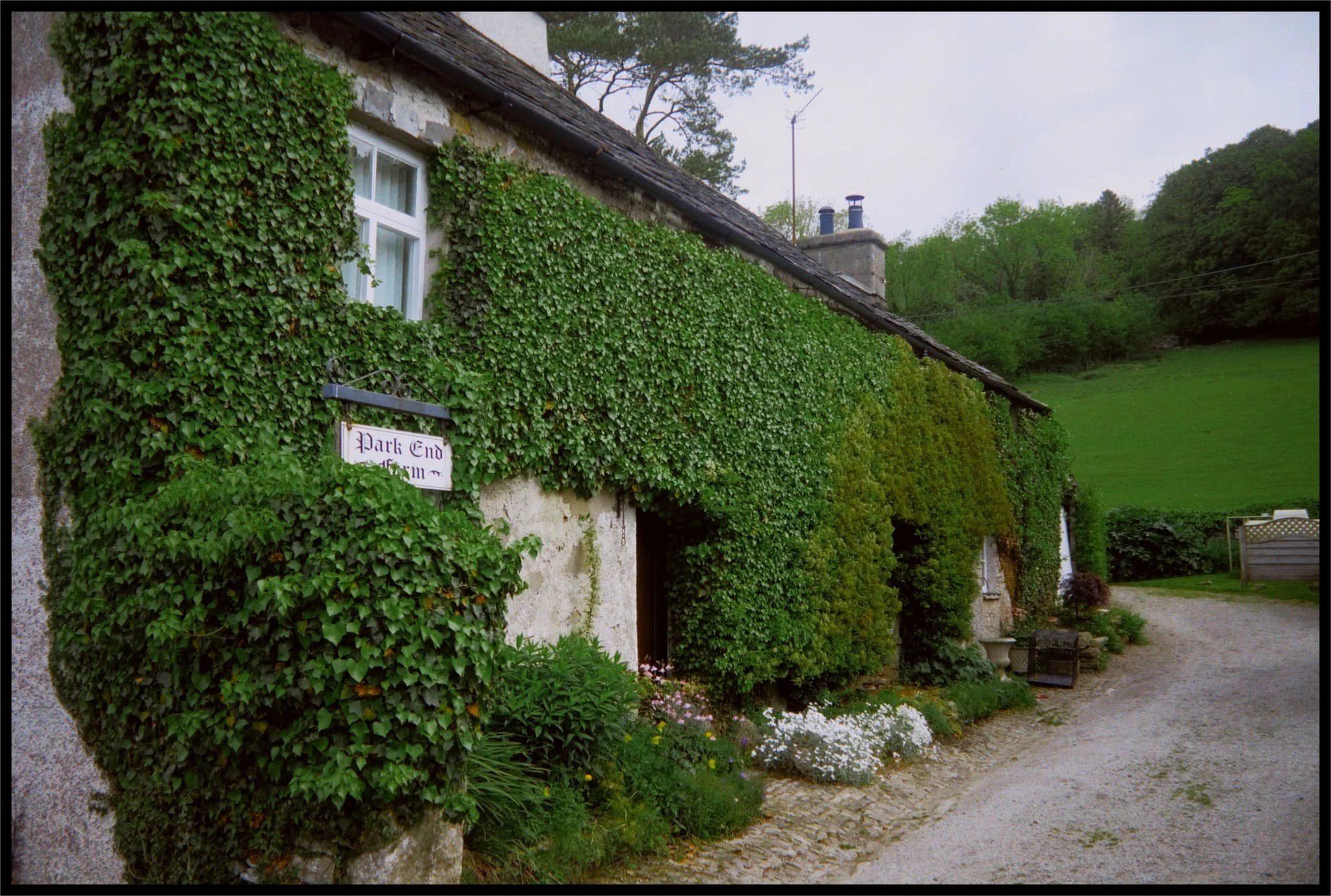  Couldn&rsquo;t resist a shot of this gorgeous old house, covered in ivy. 