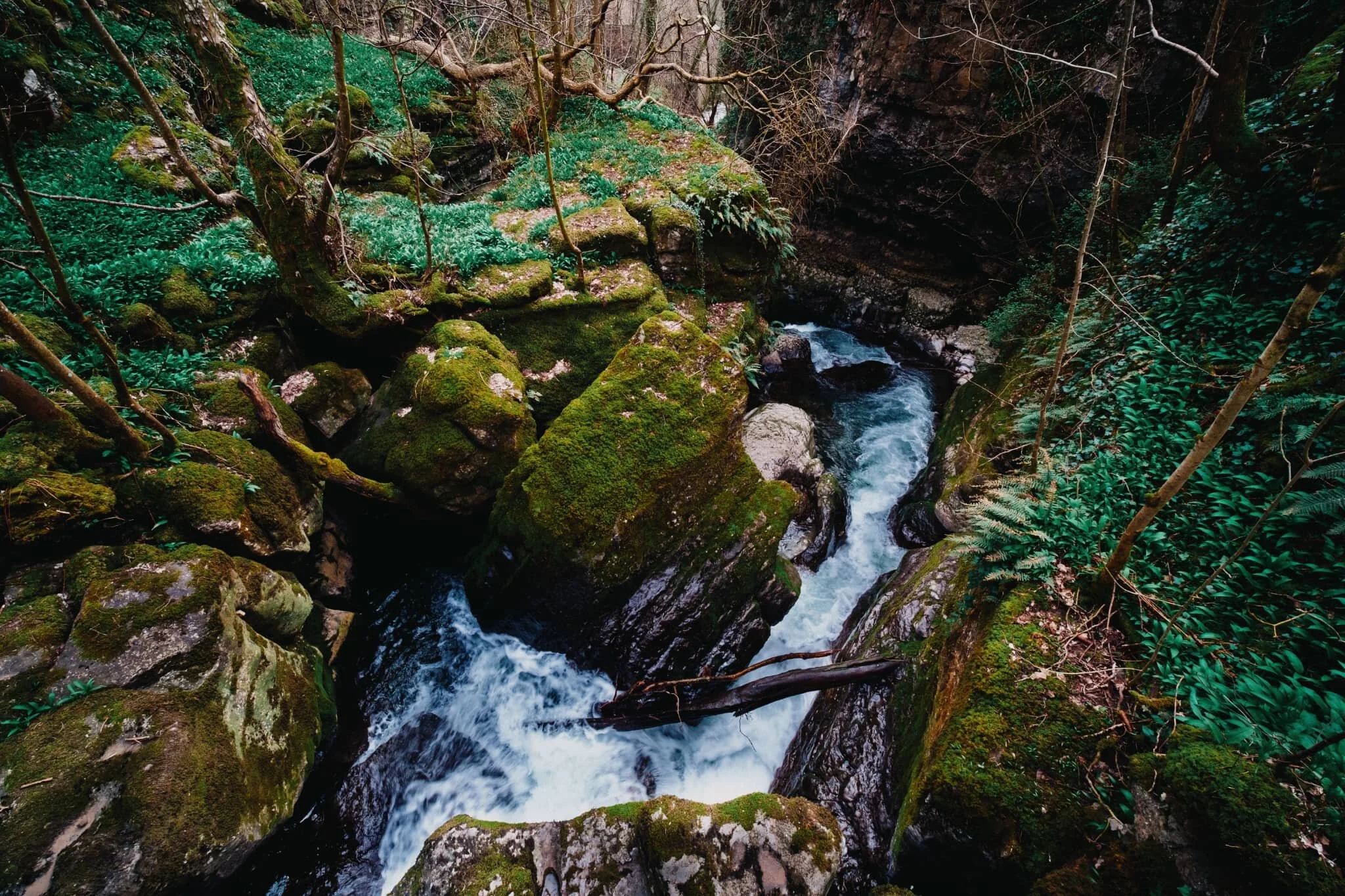 This is one of the main waterfalls around the Howk as it plunges through the limestone gorge. My 9mm ultra wide lens never ceases to amaze me at how much of a scene it captures.