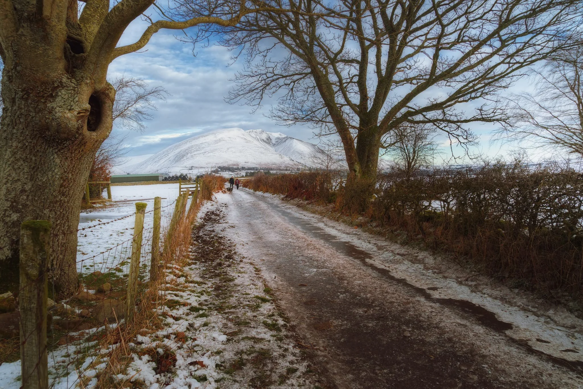  We took the old Castlerigg Lane north towards the stone circle, dodging ice wherever we could. When we came across these two bare trees, I framed the distant Blencathra using the trees&rsquo; branches as an arch.  
