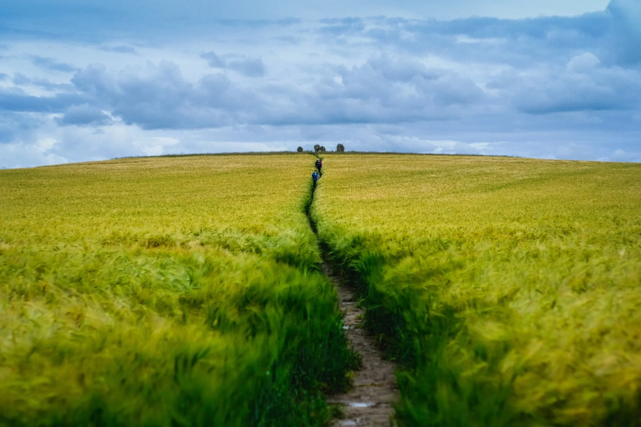  Halfway along the path the stone circle becomes visible and we could see we weren&rsquo;t the only ones. Lisabet and I waited by a clearing to give the previous visitors space to leave. One way in, one way out. 
