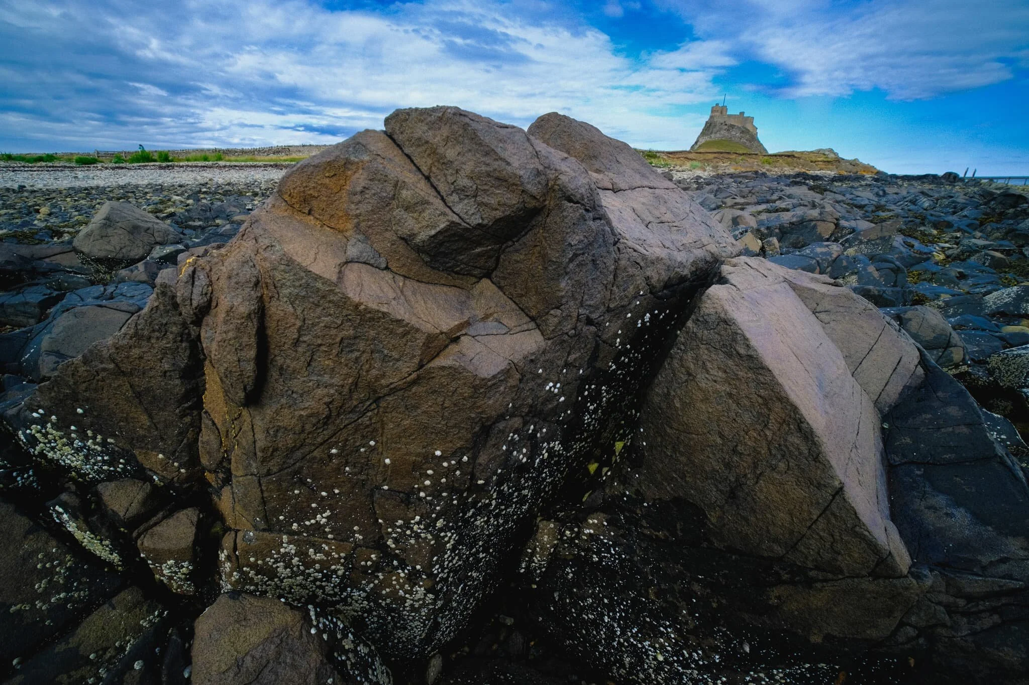  Though Holy Island is tidal and largely made of mudflats, sand dunes, and salt marshes, there&rsquo;s also a good chunk of volcanic rock, especially around the southeastern part of the island. 