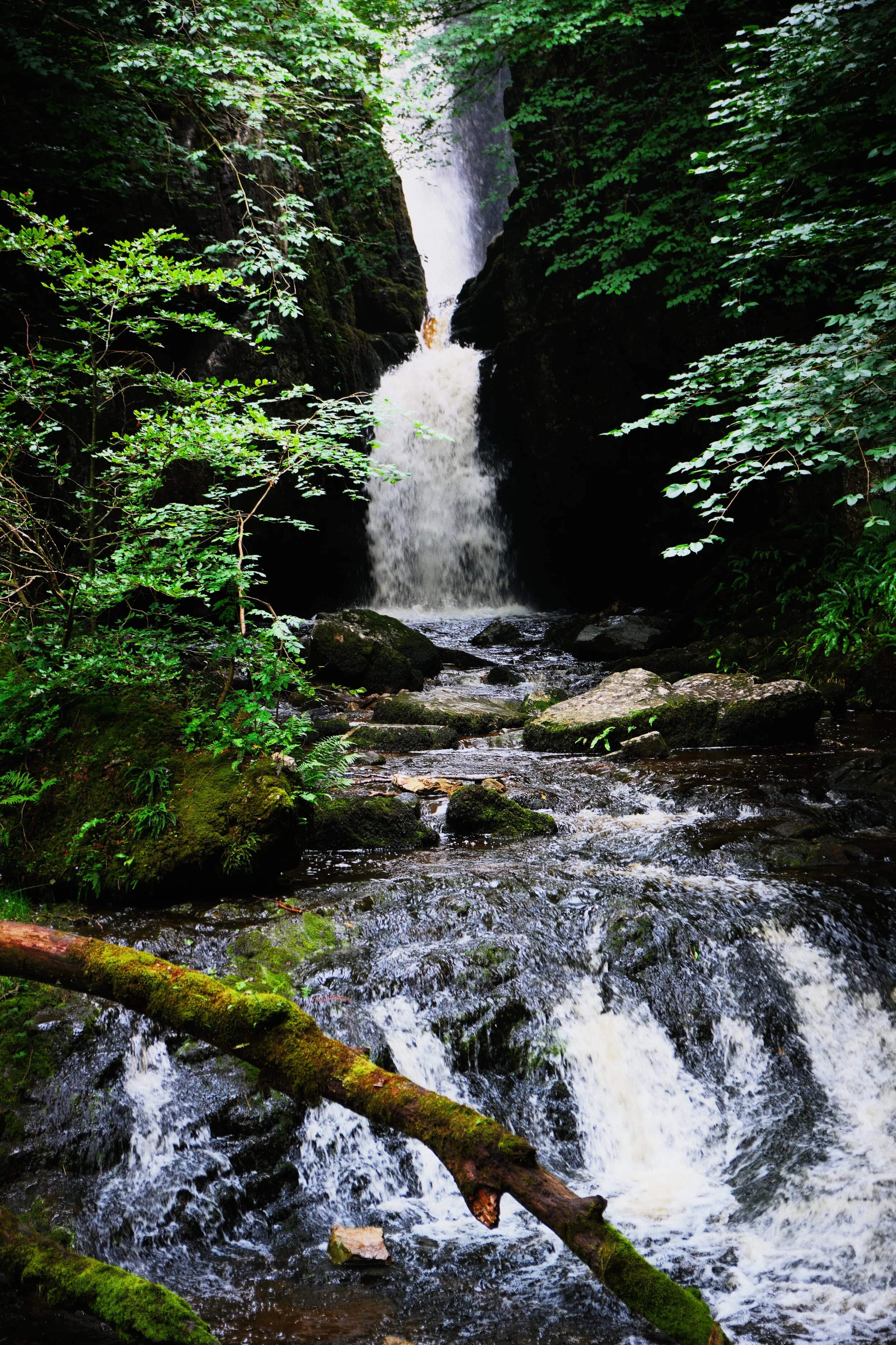 Catrigg Force, set in its own beautiful little ravine.