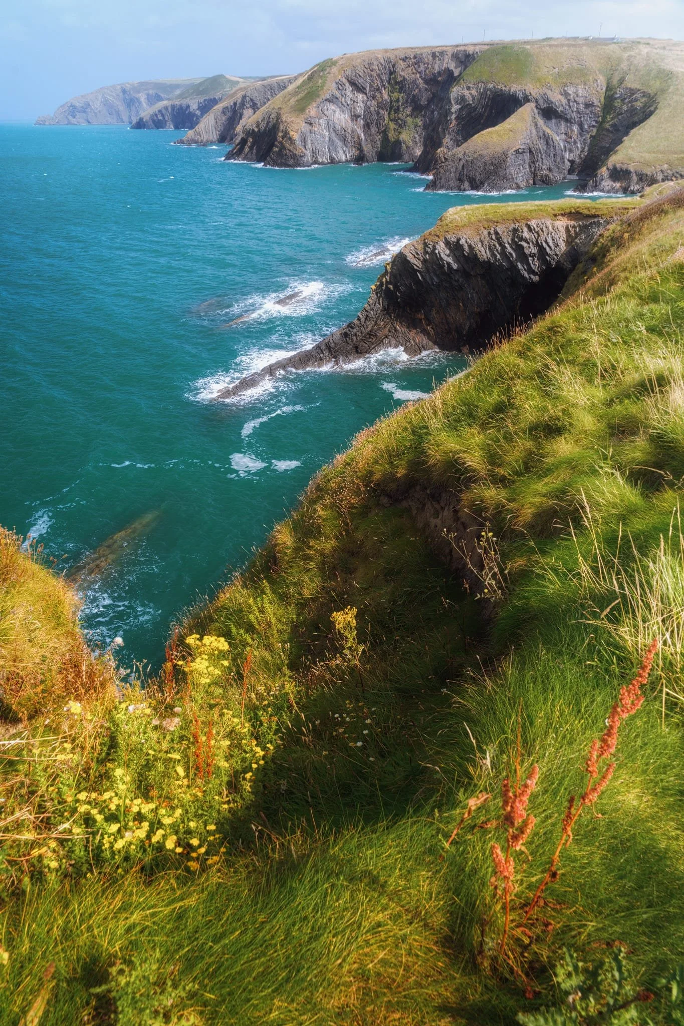  From the same point, looking north east back to Ceibwr Bay and the cliffs beyond. Unbelievable geological forces recorded here.  