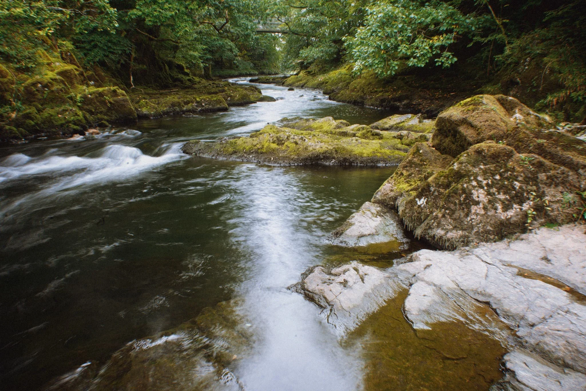 Colwithforce_Small 01