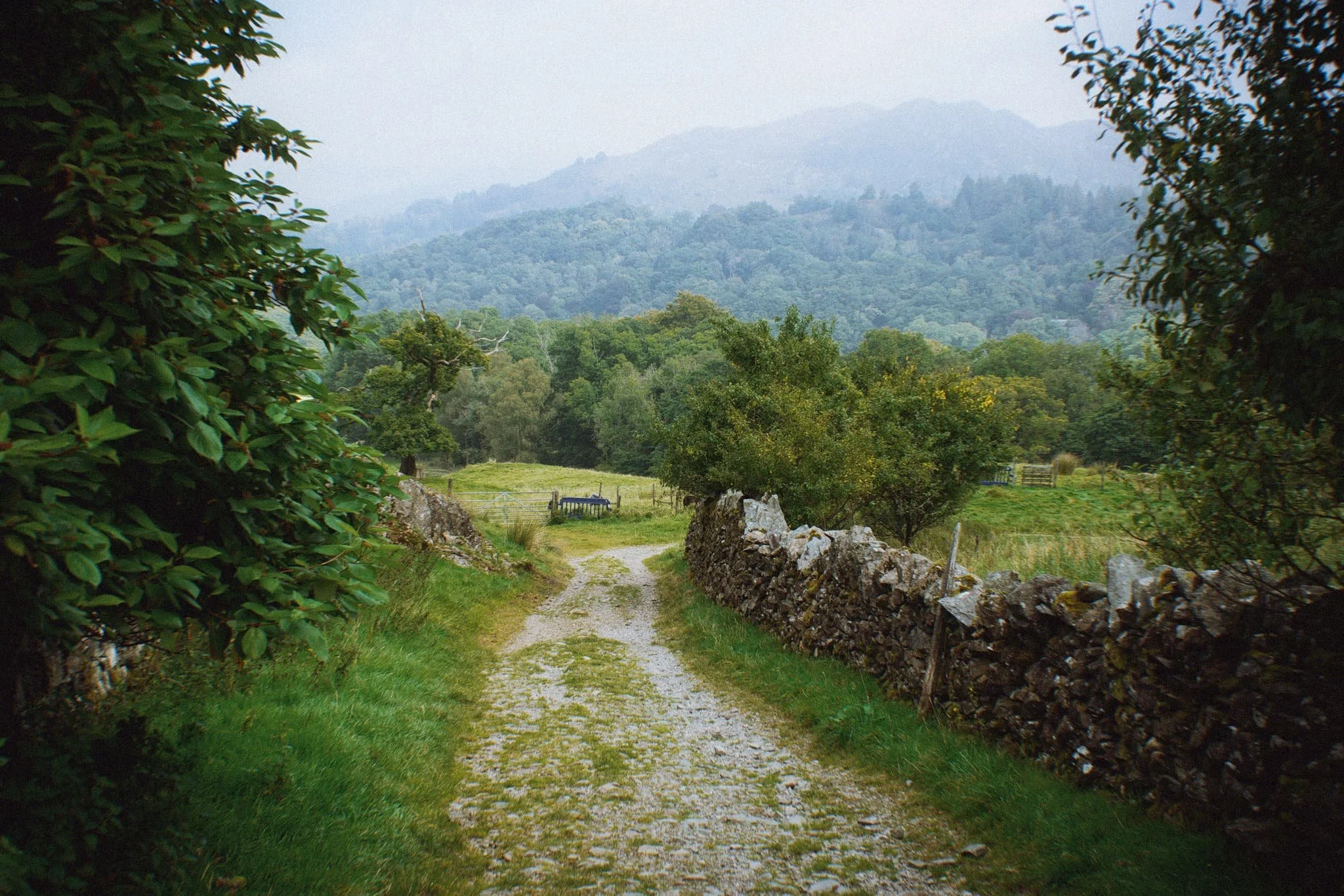 Colwithforce_Small 03