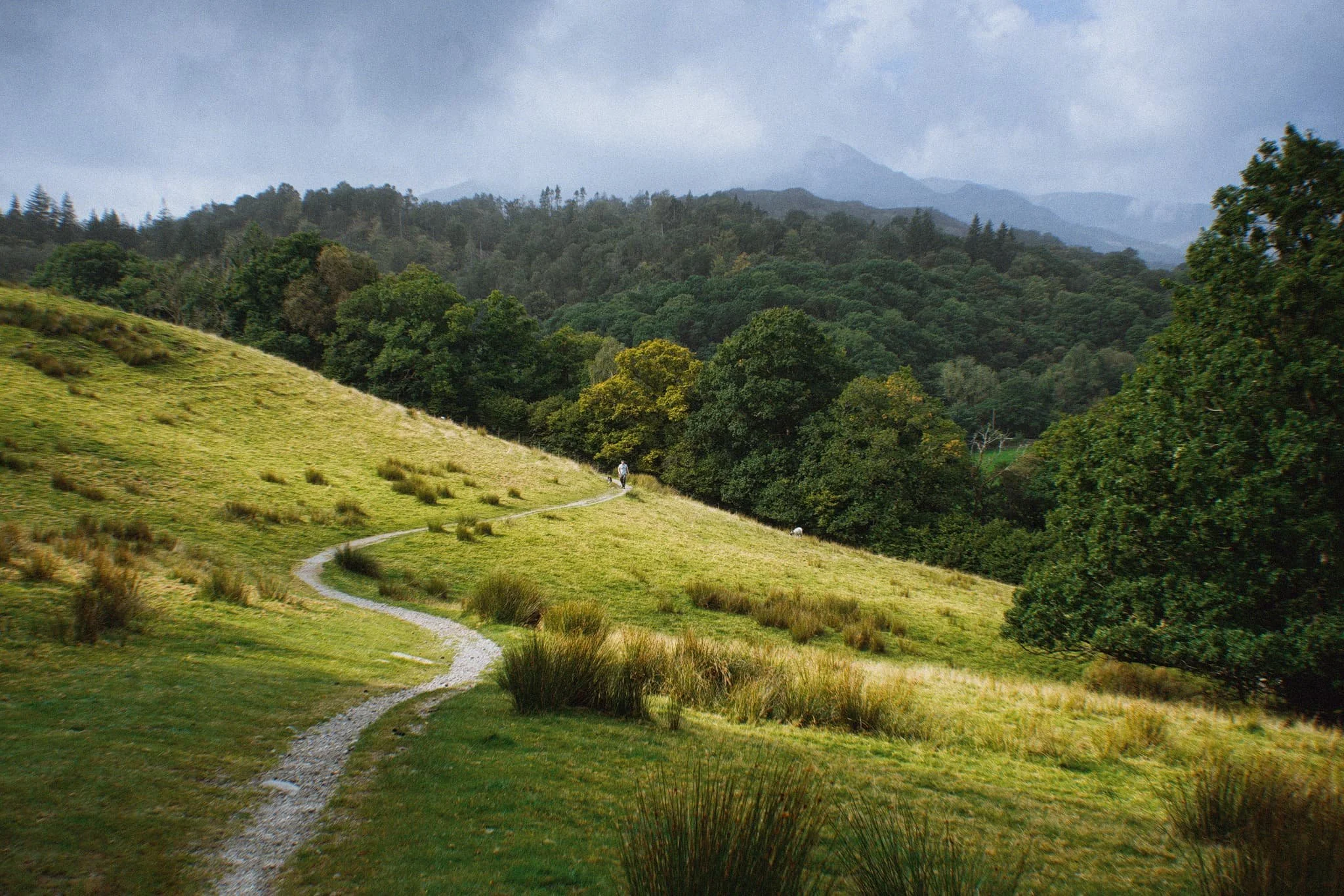 Colwithforce_Small 04