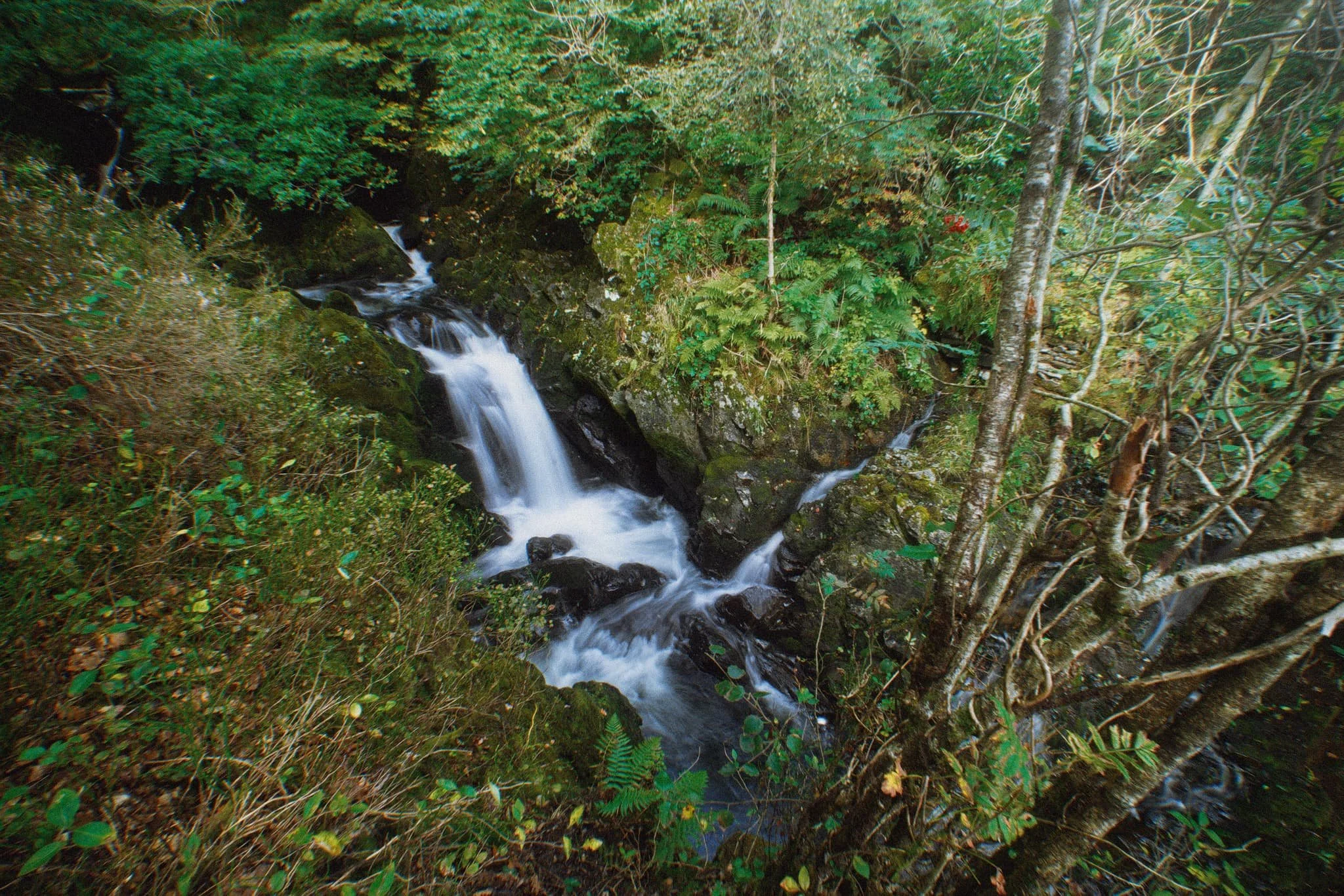 Colwithforce_Small 06