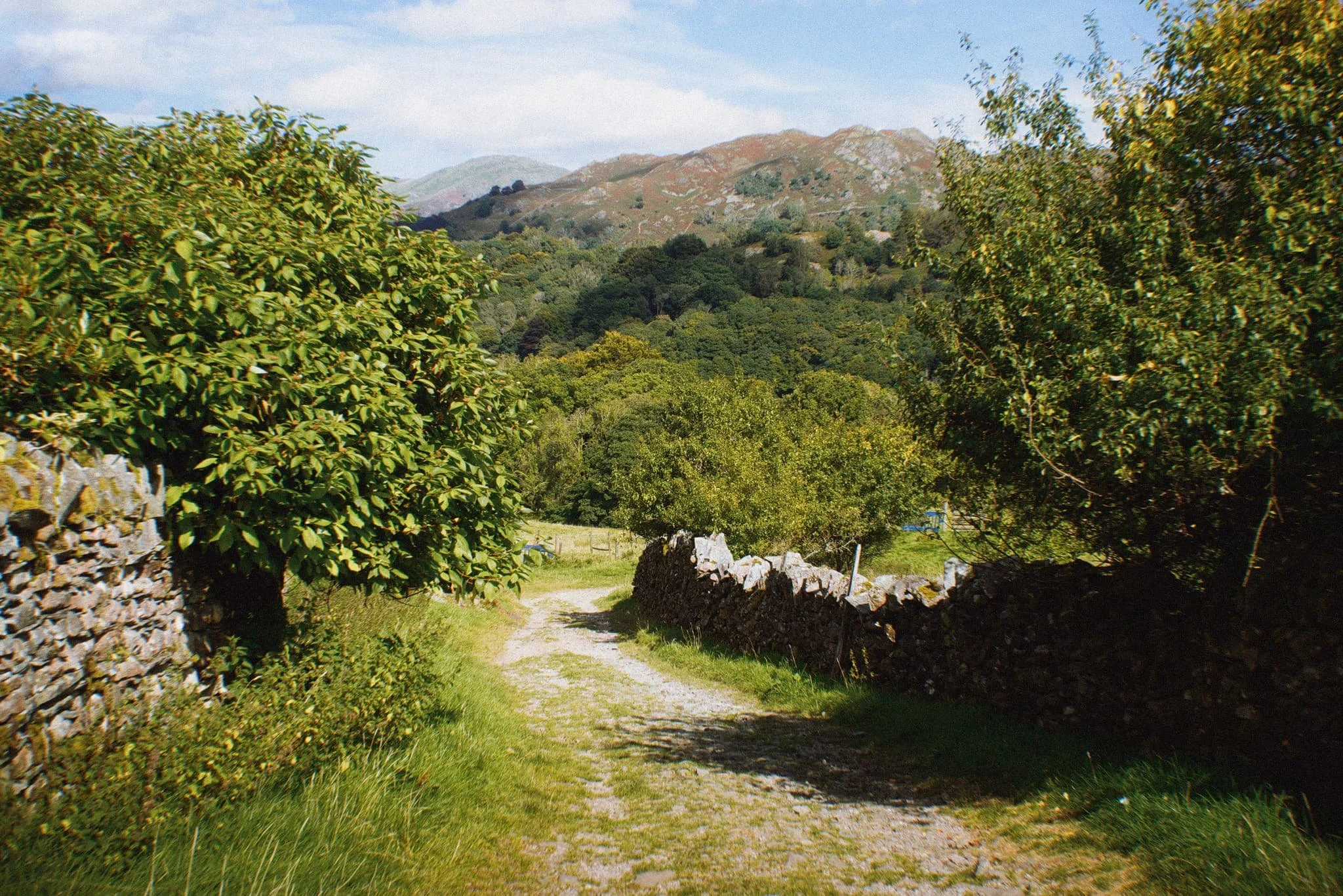 Colwithforce_Small 09