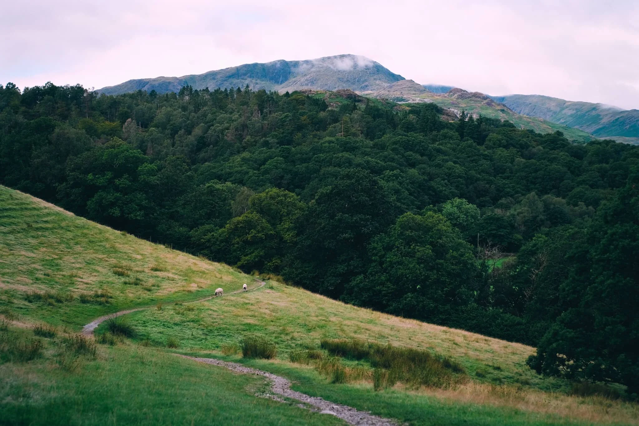 The way down to the River Brathay, with Wetherlam fighting with the clouds above.