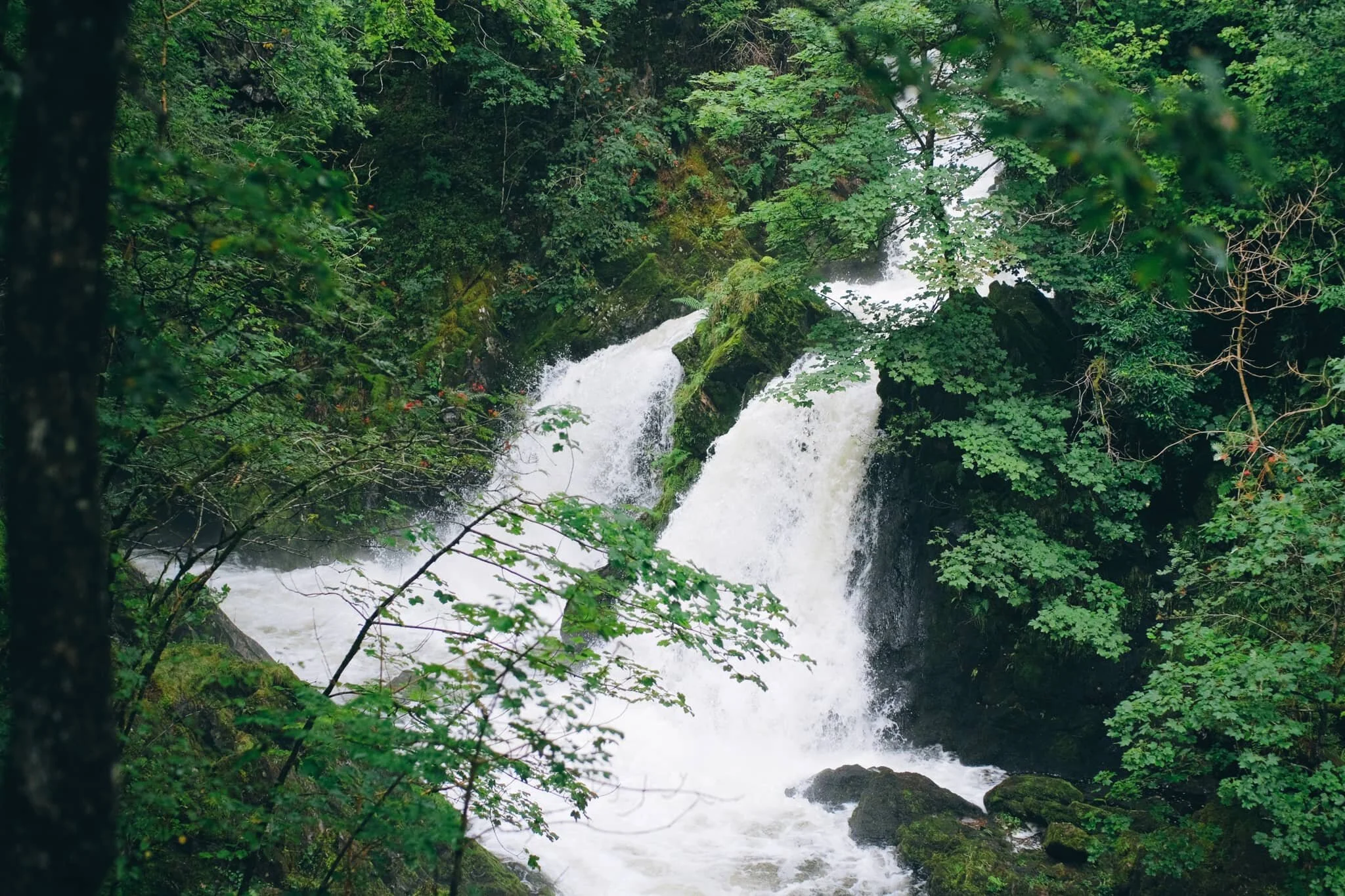 And there she is, looking absolutely incredible after all the rainfall we’ve had.