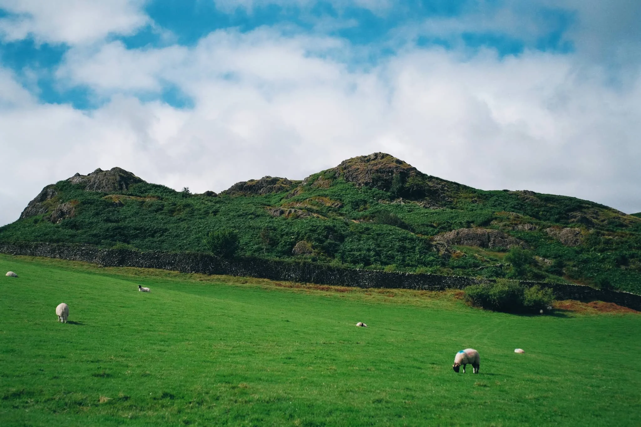 After popping out of the top of the woods you’re greeted with the craggy top of Great How. Additionally, the sun decided to show its face.