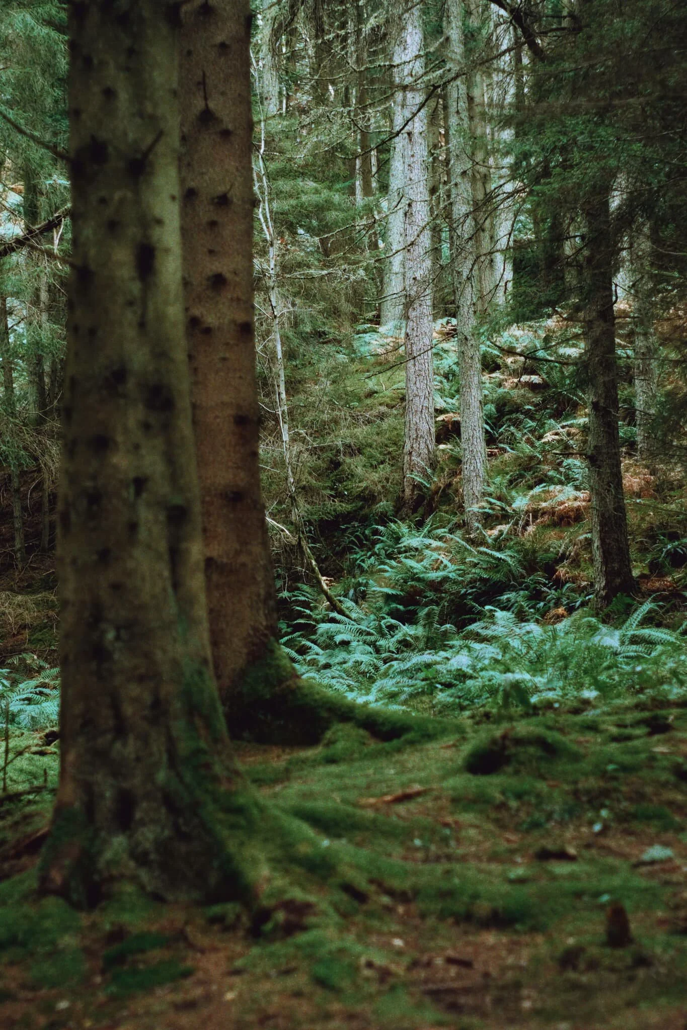  Especially this subtle spotlighting. 