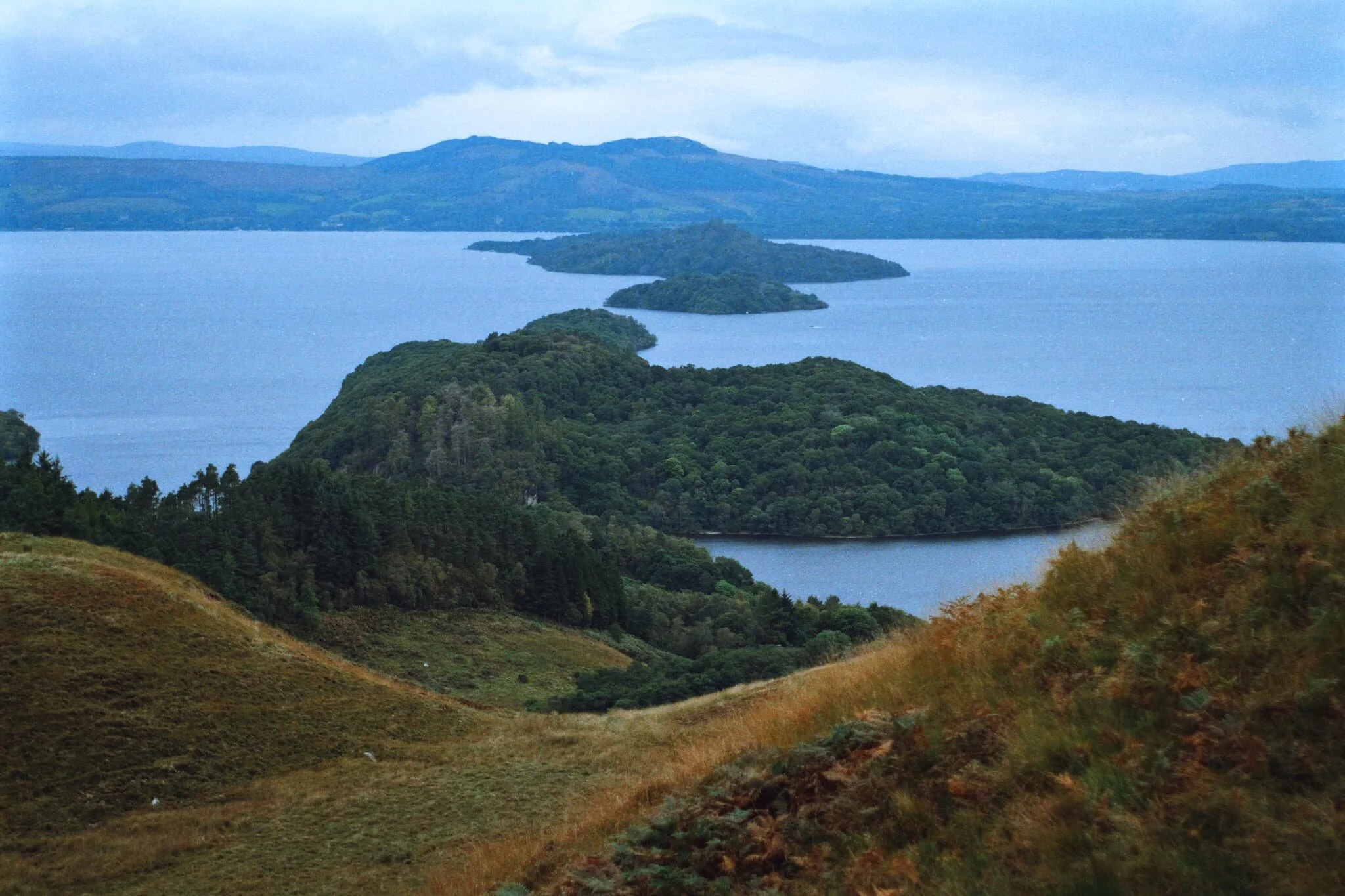  The last of the good light, before the rain storm came in. 