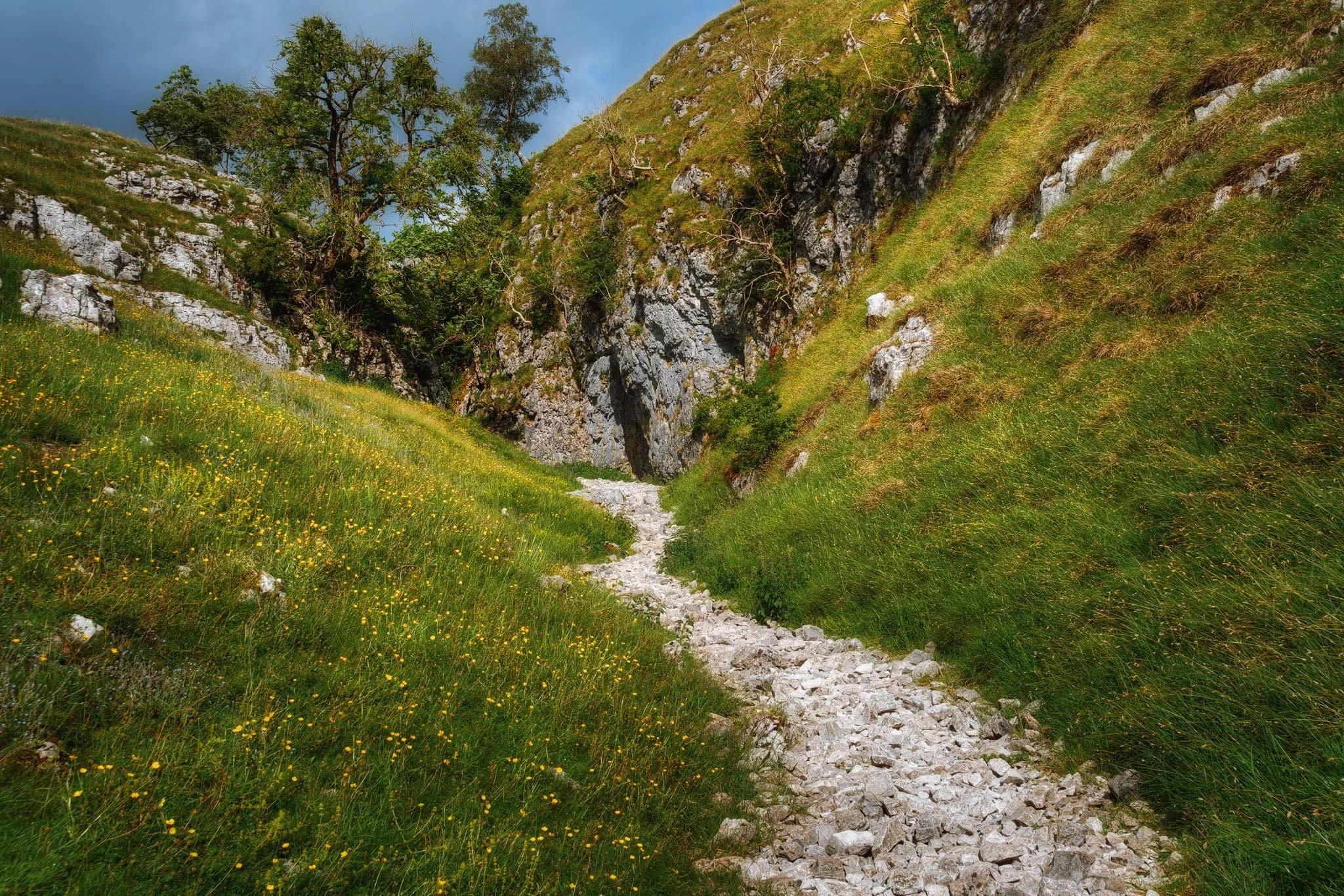  Heading immediately east out of the village, a footpath can be picked up that takes you up the first part of Conistone Dib, known as Gurling Trough. Delicate flowers pepper the grasses around the trail. Our excitement builds. 