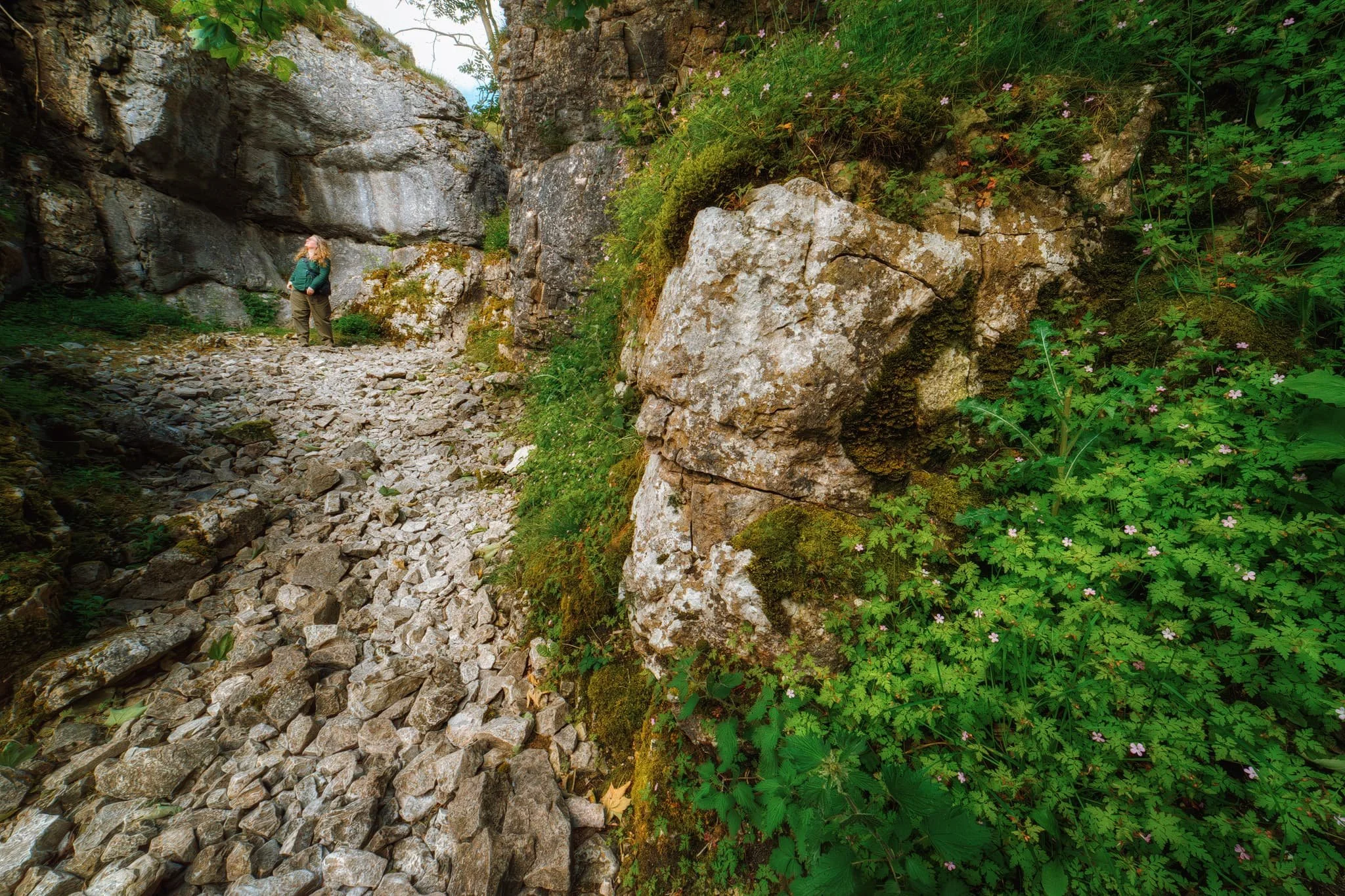  The gorge winds its way uphill, in increasingly tight channels. Now we&rsquo;re in summer, foliage and wildflowers adorn every possible nook and cranny. Up ahead, Lisabet gawps at the stunning walls of the gorge. 