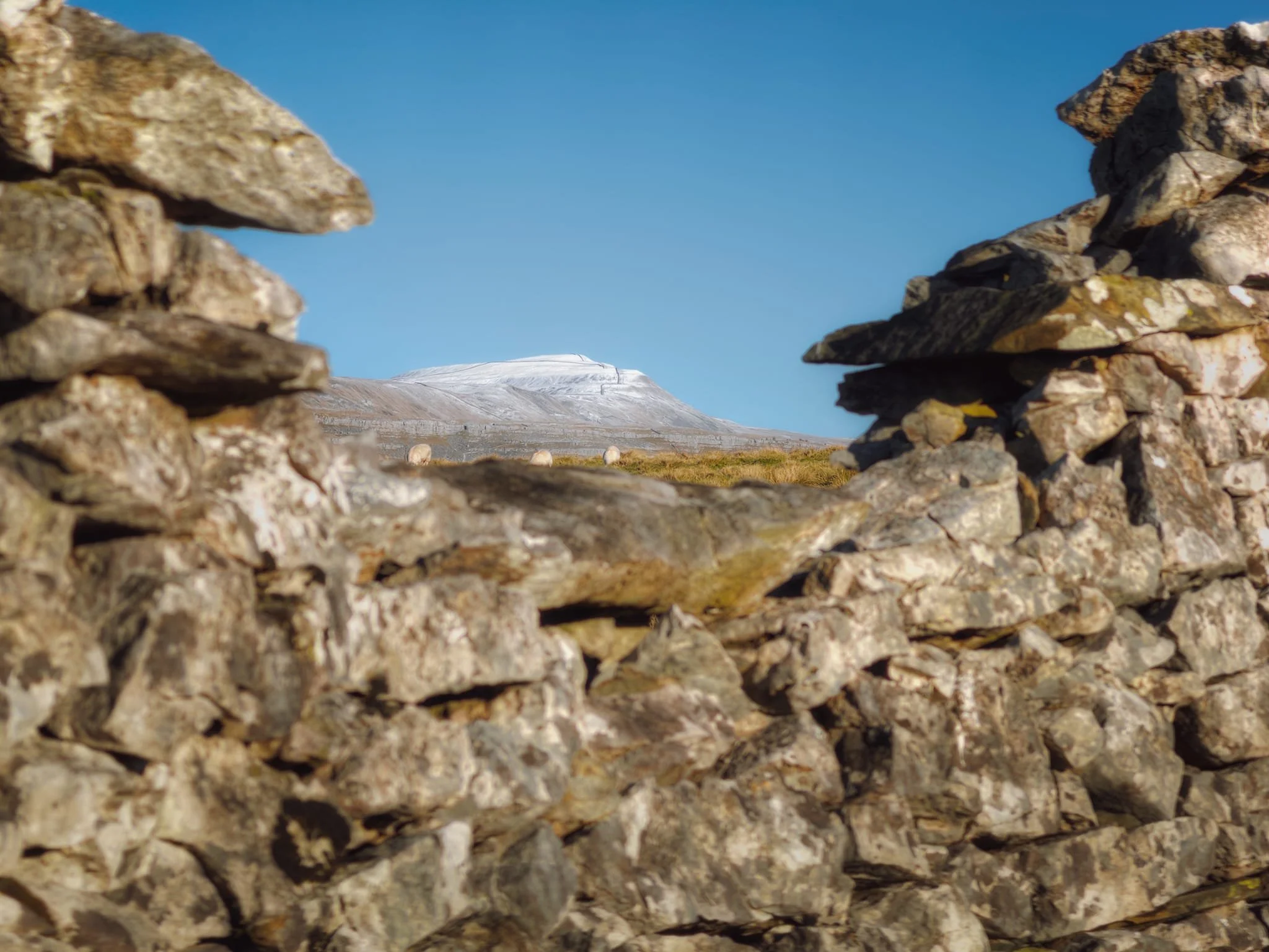 Along Fell Lane a partial collapse in the dry stone wall allowed for a nice framing composition of a snow capped Whernside.