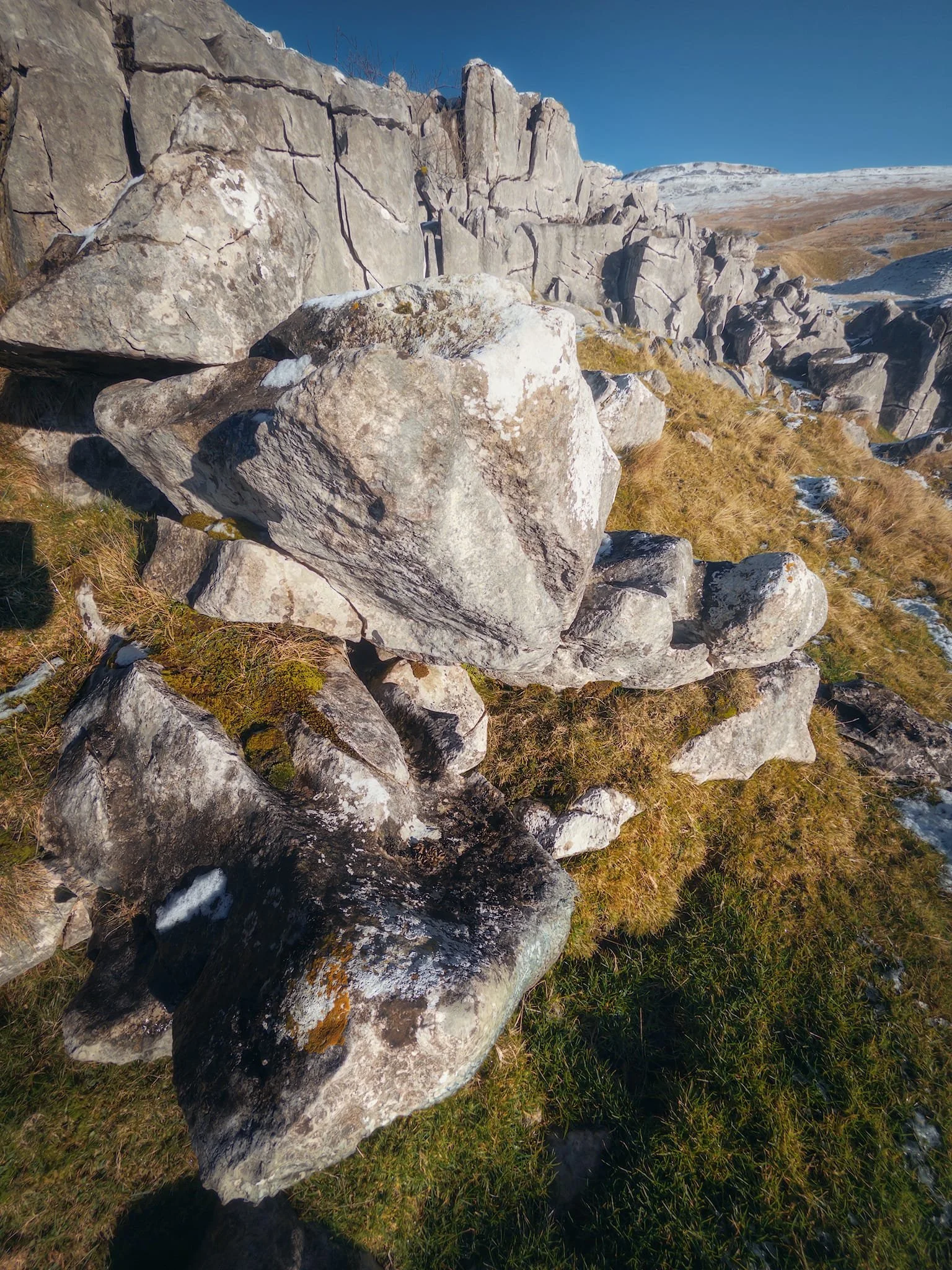 An ultra-wide composition from just below Crina Bottom’s limestone pavement edge.