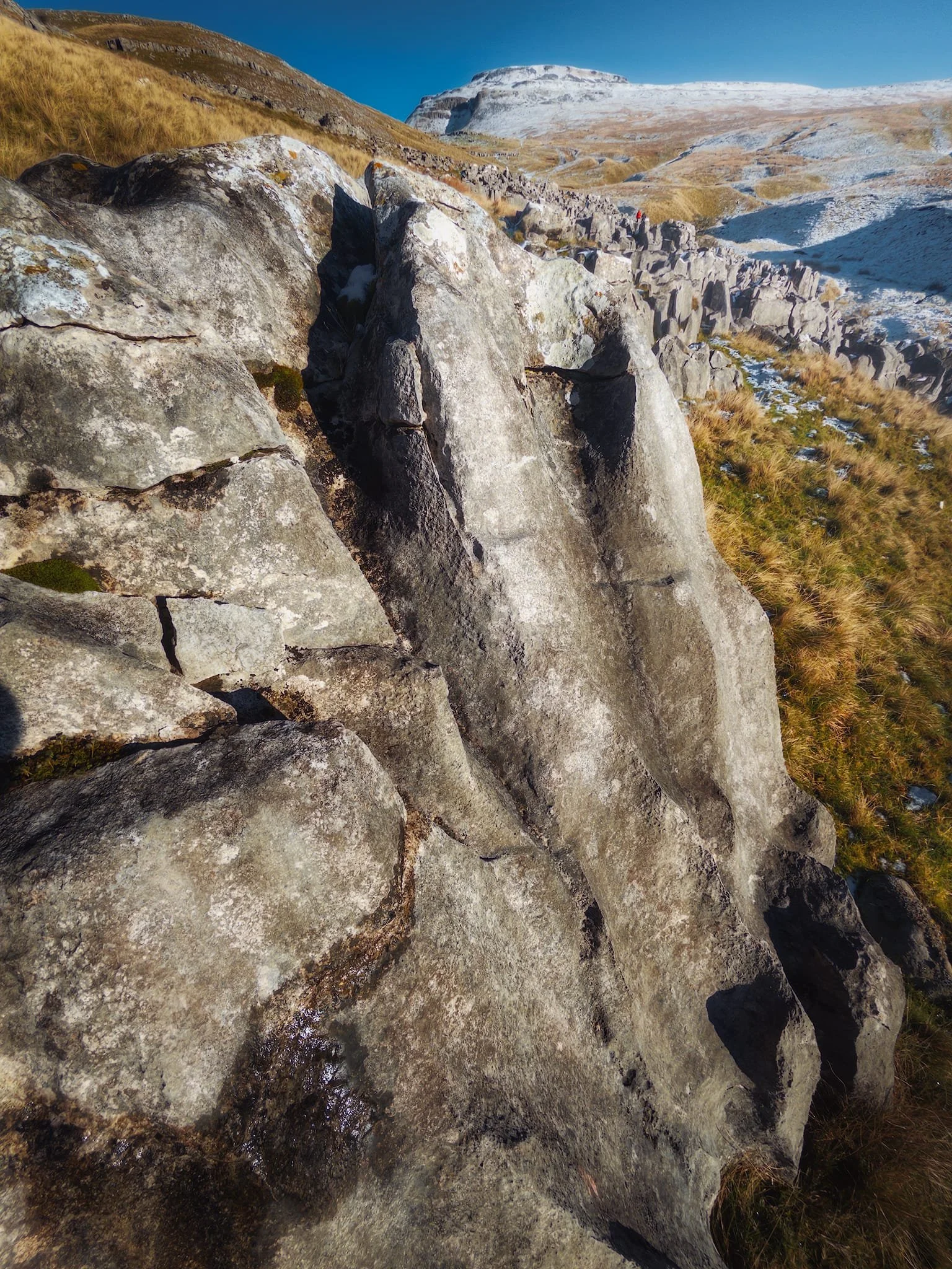 Smooth and carved limestone boulder shows evidence of the limestone’s origins in the sea.