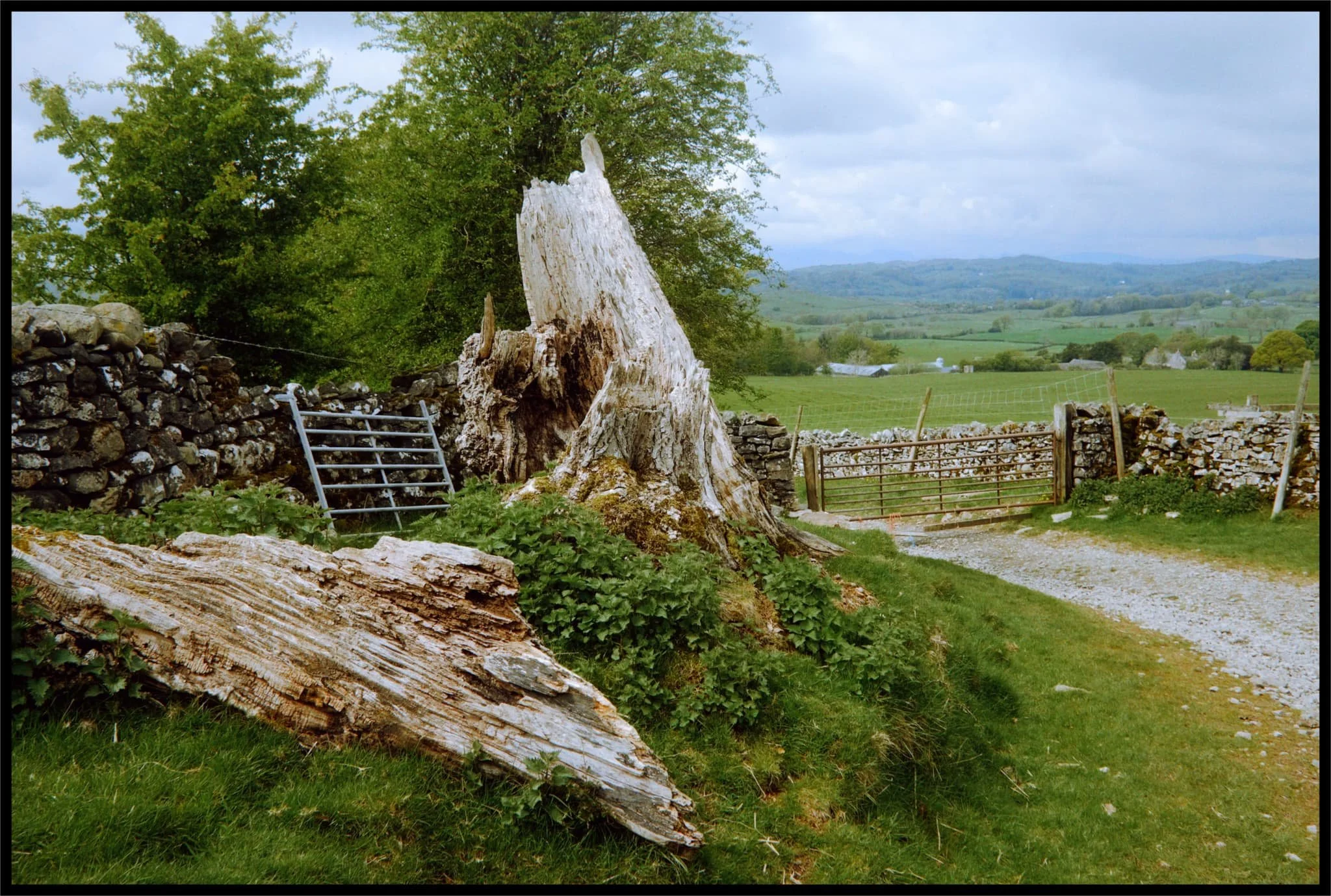  The way to the open rolling land of the Lyth Valley. 
