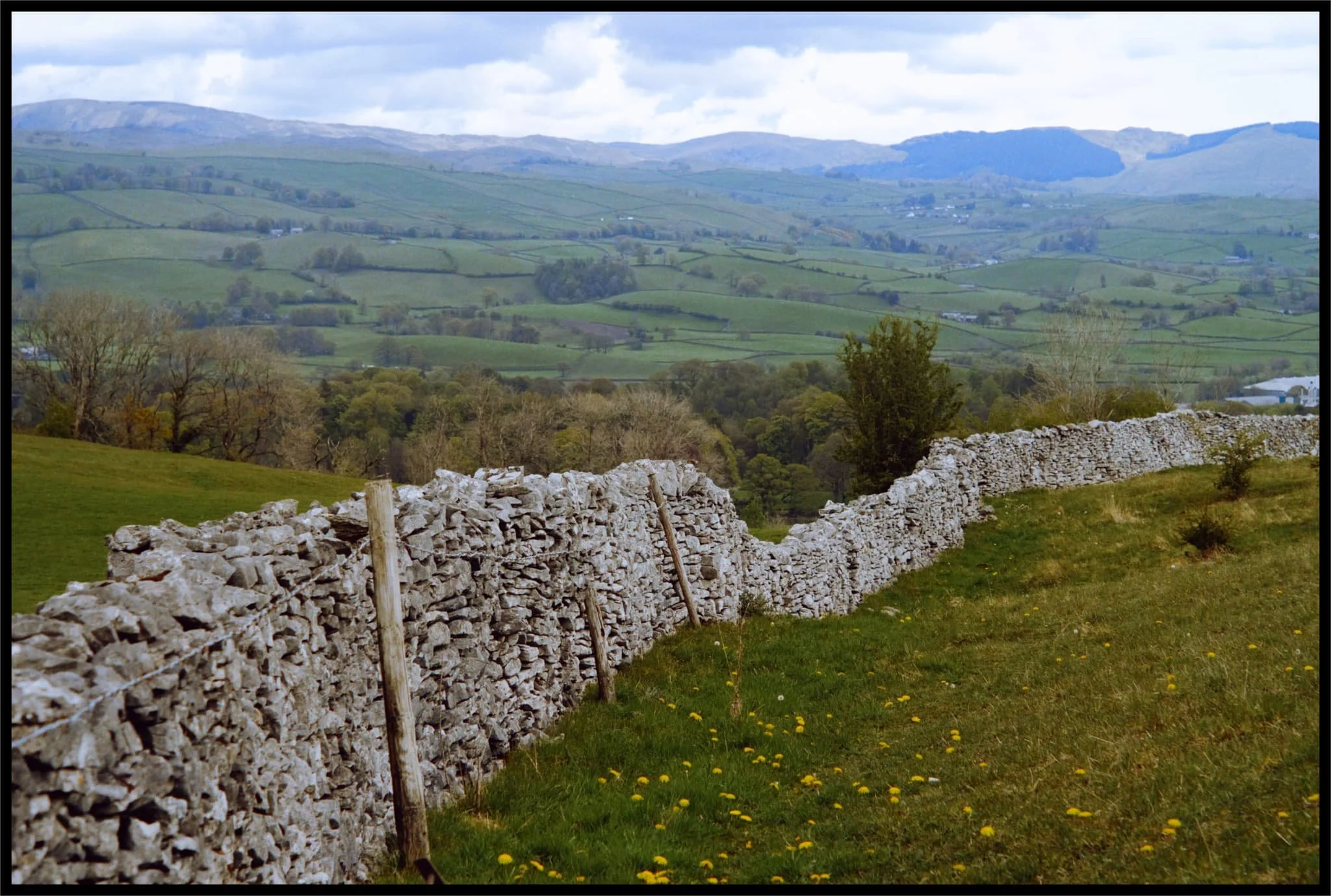  My fascination with drystone walls continues unabated. 