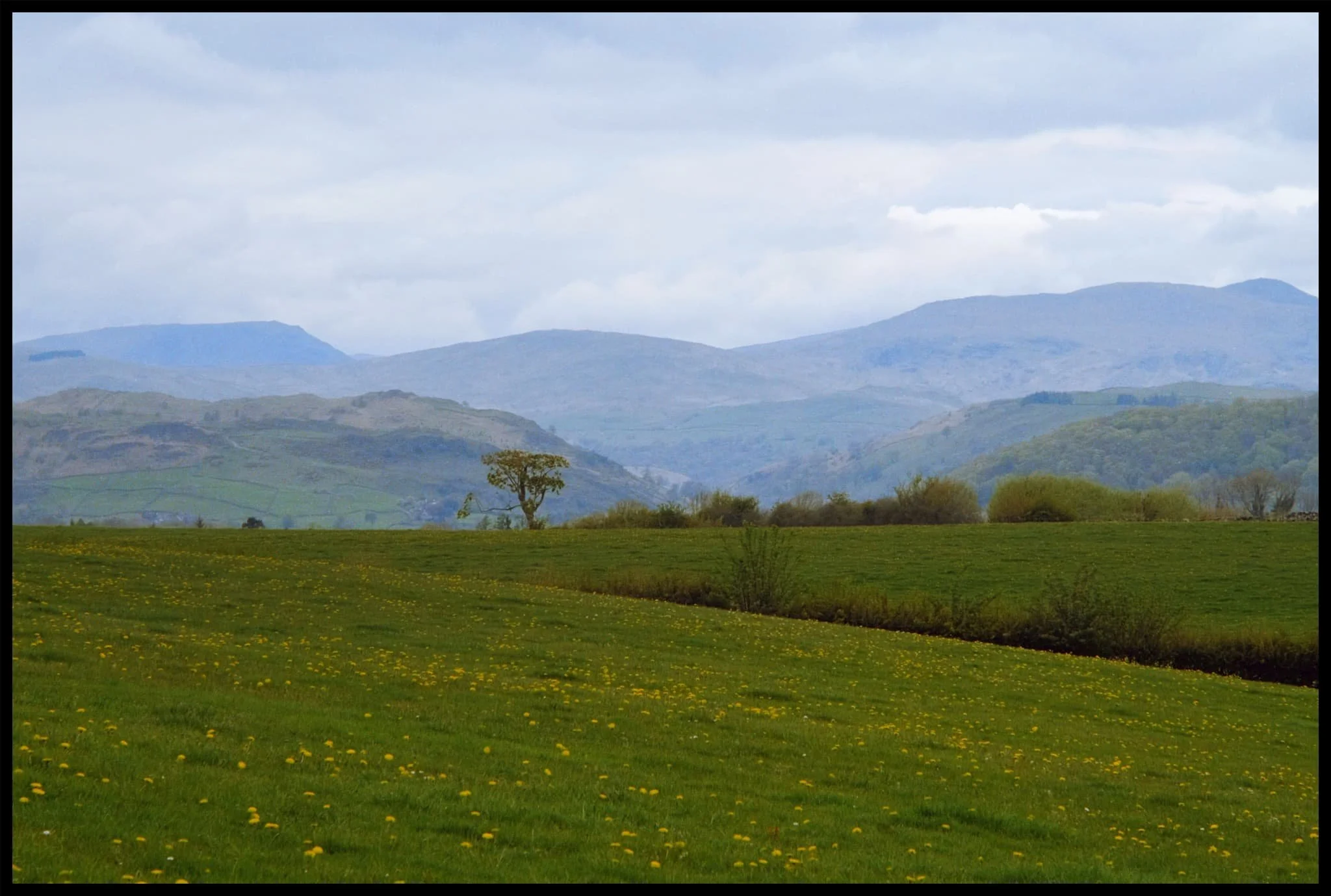  Closer to Kendal, the Kentmere and Longsleddale fells tease me. 