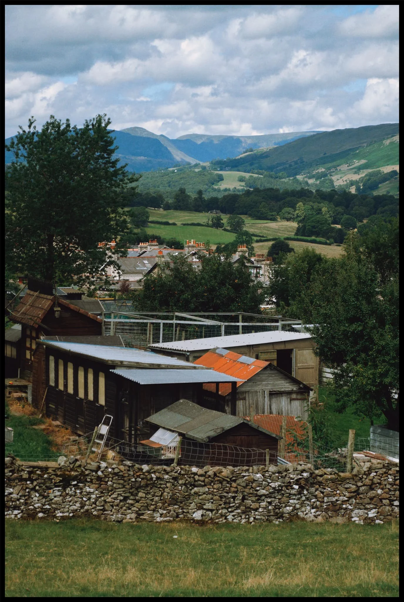  On the Helsfell Nab path you round an allotment above Windermere Road. Gardening here must be lovely with views like this. 