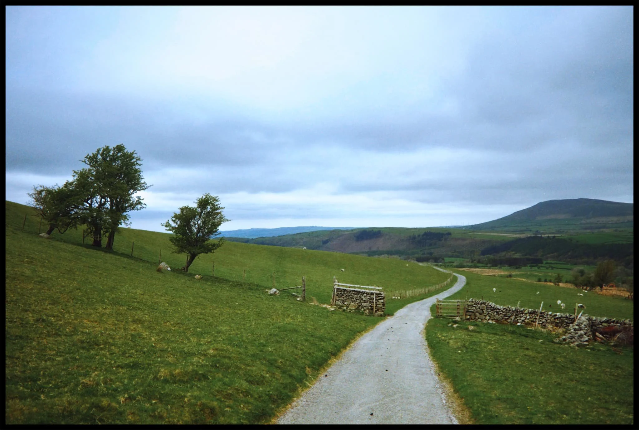  Looking back at the way we came. On the right is Binsey, an isolated little hill that nevertheless enjoys fantastic views. 
