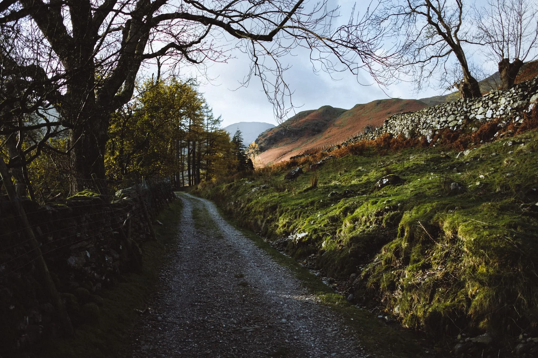  Passing through the farm, we followed the track towards the valley. As the wind was blowing a hooley, the clouds above passed intermittently across the sun, allowing beautiful spotlighting of light. 
