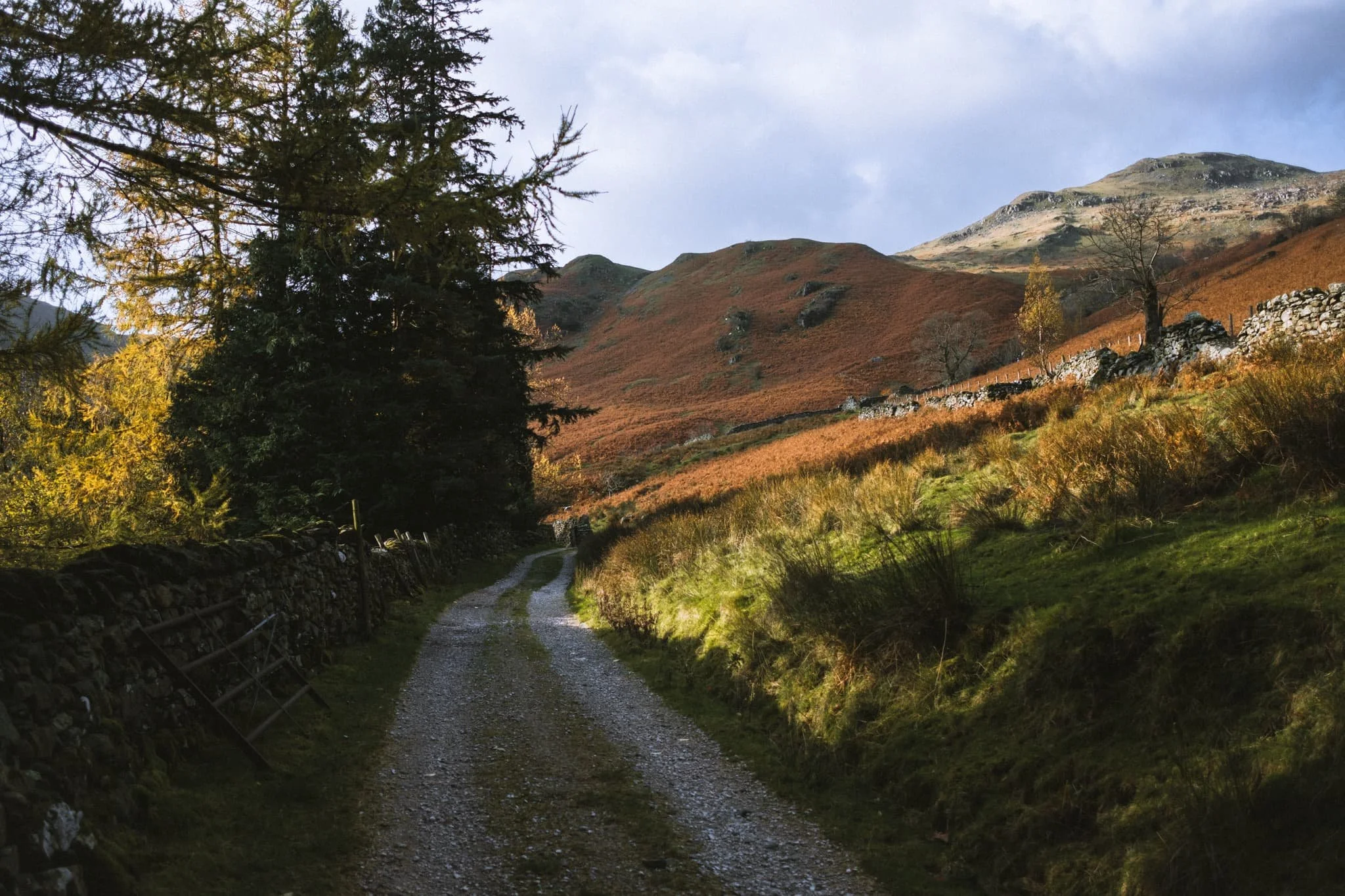  As we pass Deepdale Hall, Latterhaw Crag below and the back of St. Sunday Crag (841 m/2,759 ft) come into view, drenched in golden autumnal light. 